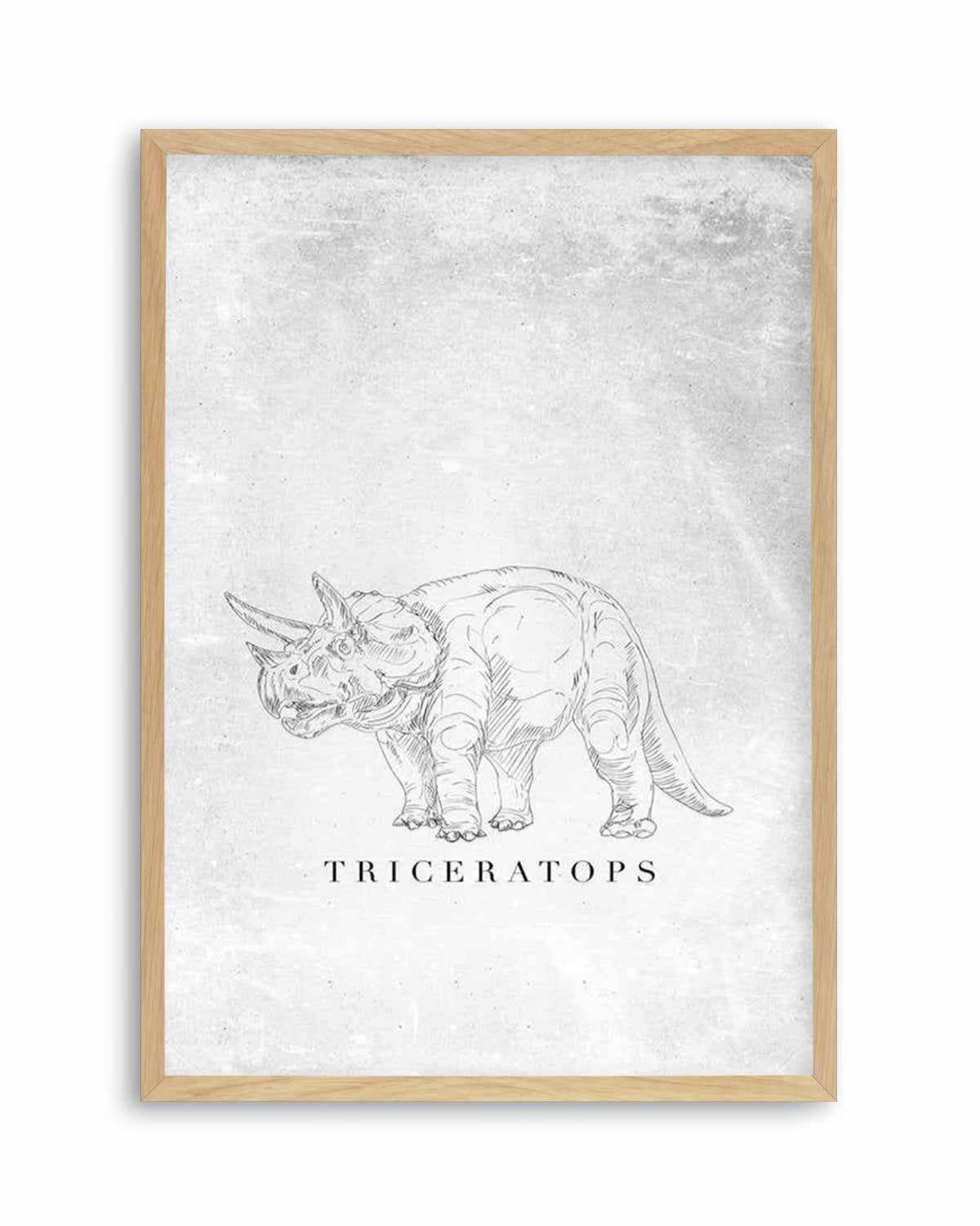 Triceratops PT | Dinosaur Collection Art Print