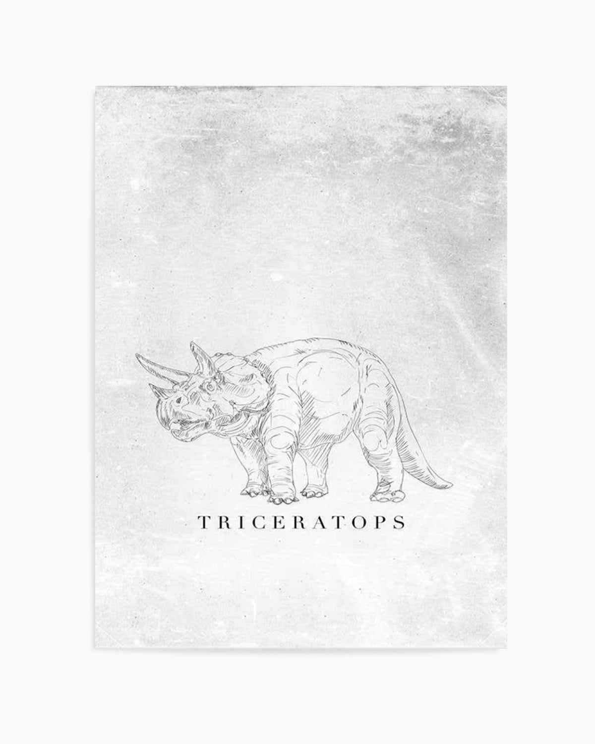 Triceratops PT | Dinosaur Collection Art Print