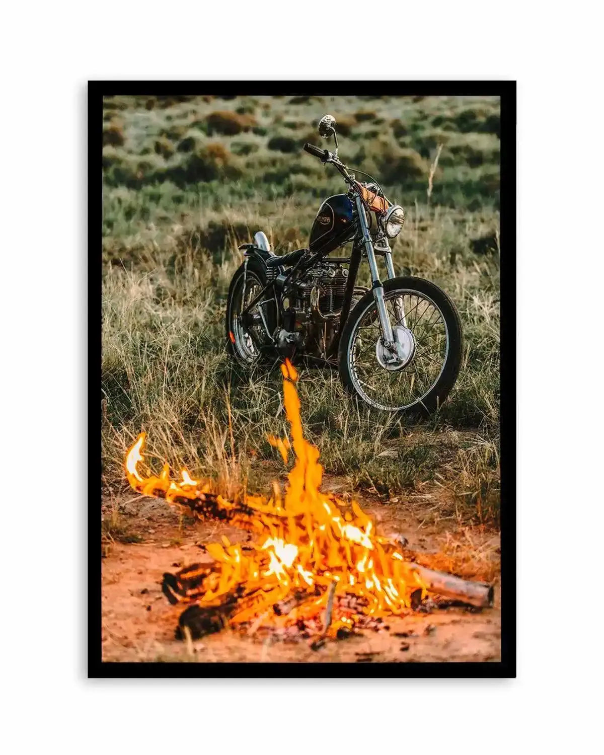 Triumph By Tim Harris Art Print from Olive et Oriel where you can shop wallpaper and artworks online