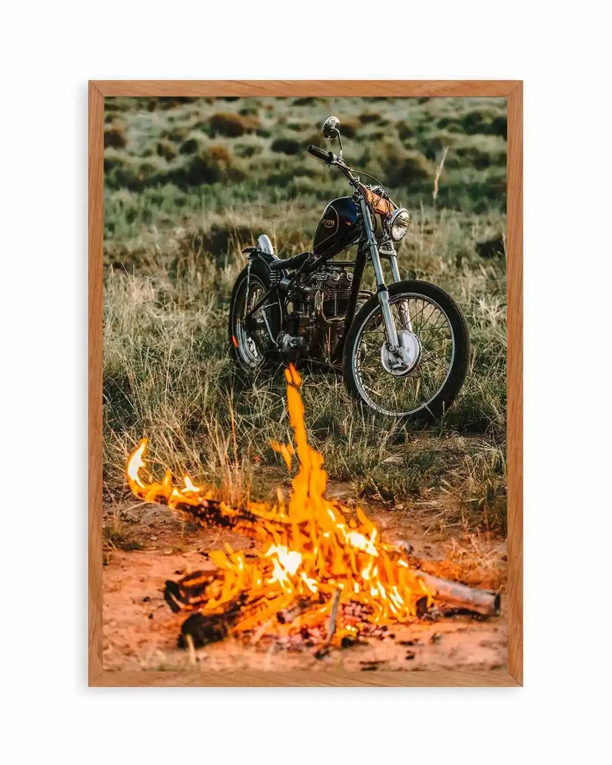 Triumph By Tim Harris Art Print from Olive et Oriel where you can shop wallpaper and artworks online