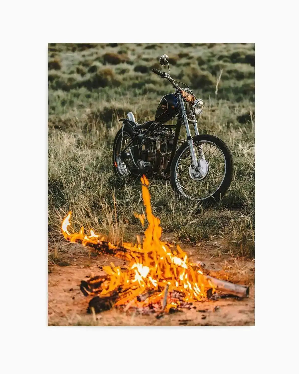 Triumph By Tim Harris Art Print from Olive et Oriel where you can shop wallpaper and artworks online