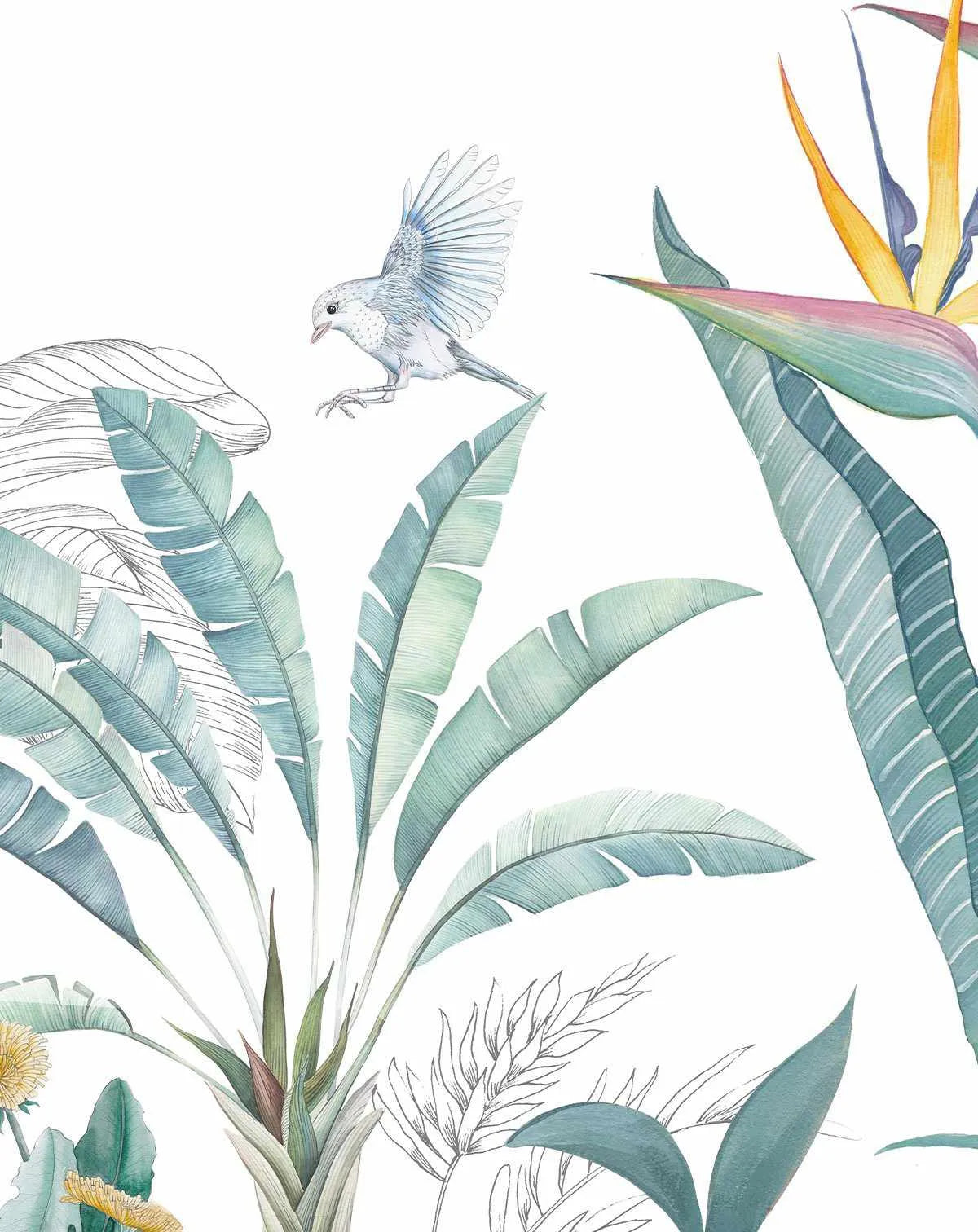 Tropical Adventure Wallpaper Mural-Wallpaper-Buy Kids Removable Wallpaper Online Our Custom Made Children√¢‚Ç¨‚Ñ¢s Wallpapers Are A Fun Way To Decorate And Enhance Boys Bedroom Decor And Girls Bedrooms They Are An Amazing Addition To Your Kids Bedroom Walls Our Collection of Kids Wallpaper Is Sure To Transform Your Kids Rooms Interior Style From Pink Wallpaper To Dinosaur Wallpaper Even Marble Wallpapers For Teen Boys Shop Peel And Stick Wallpaper Online Today With Olive et Oriel