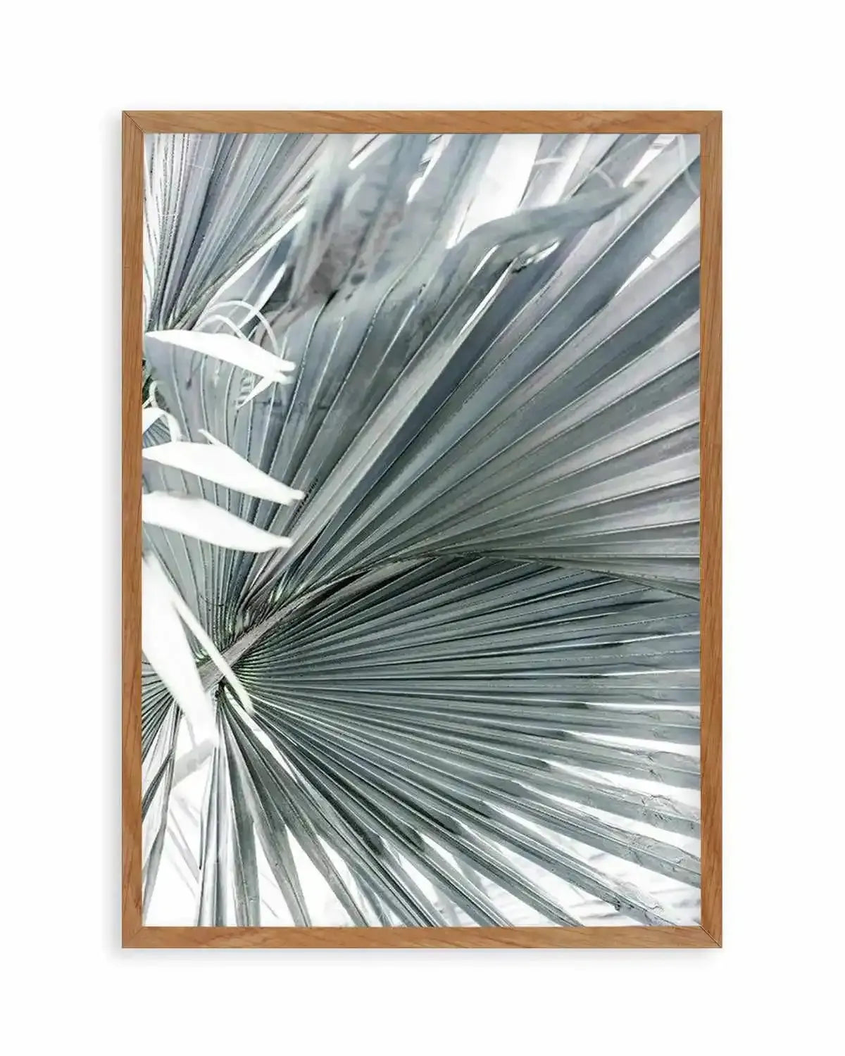 Tropical Palm I Art Print from Olive et Oriel where you can shop wallpaper and artworks online