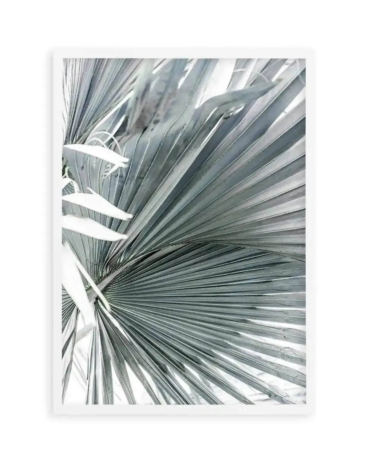 Tropical Palm I Art Print from Olive et Oriel where you can shop wallpaper and artworks online