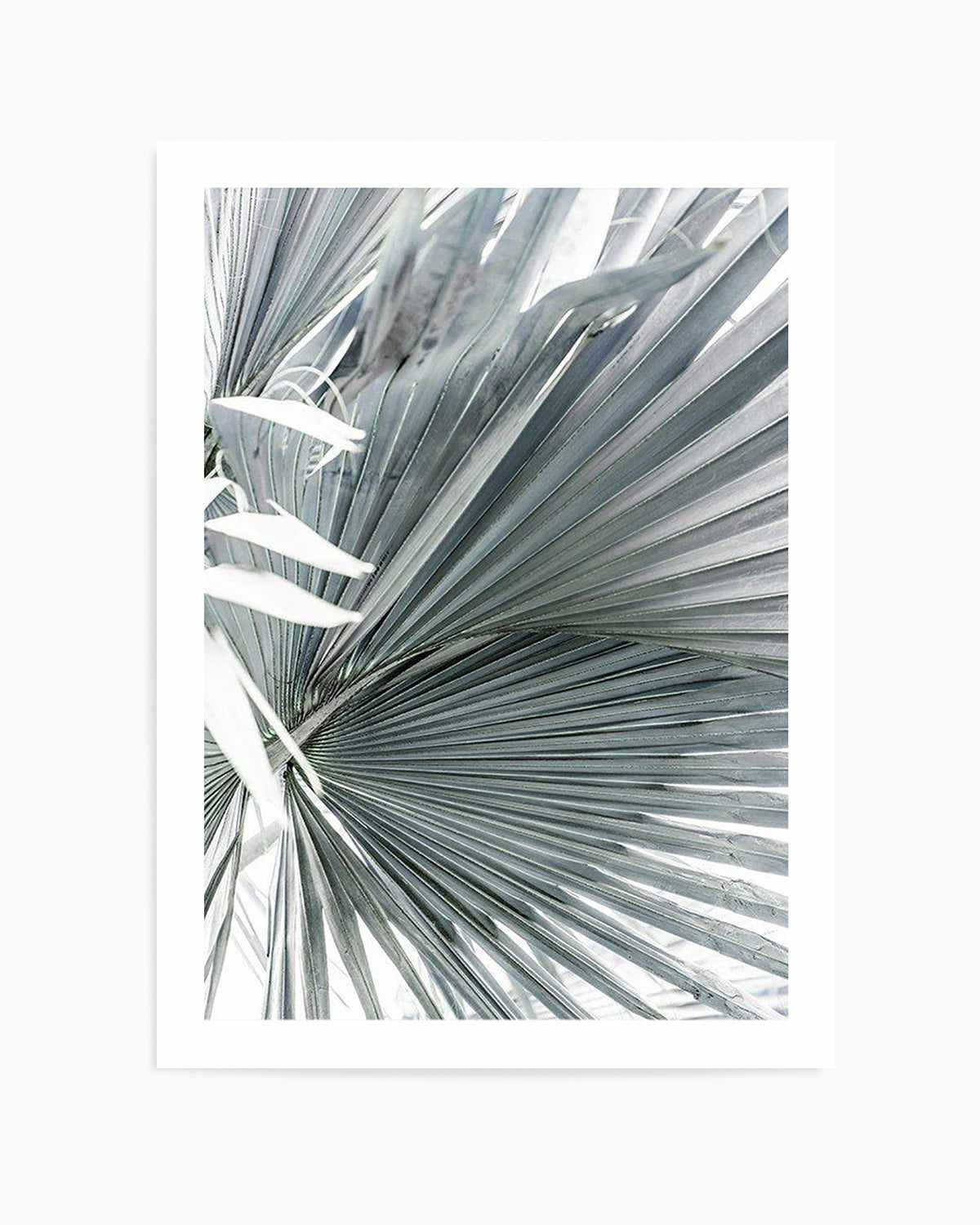 Tropical Palm I Art Print