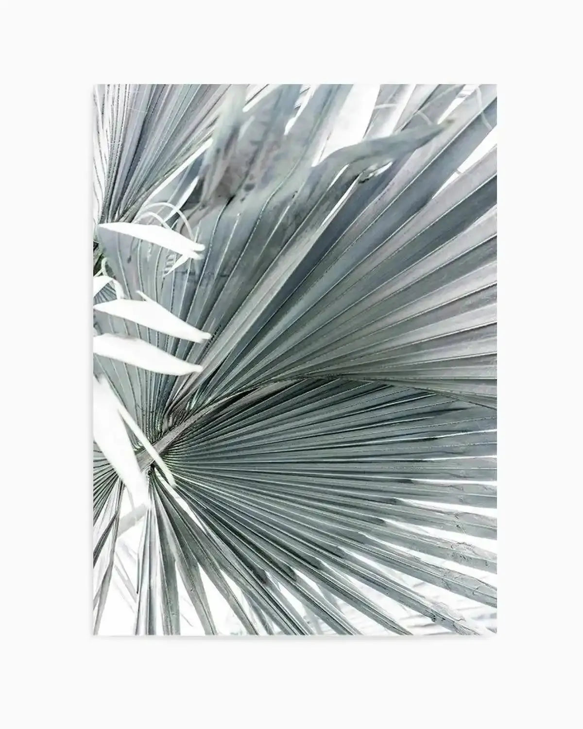 Tropical Palm I Art Print from Olive et Oriel where you can shop wallpaper and artworks online