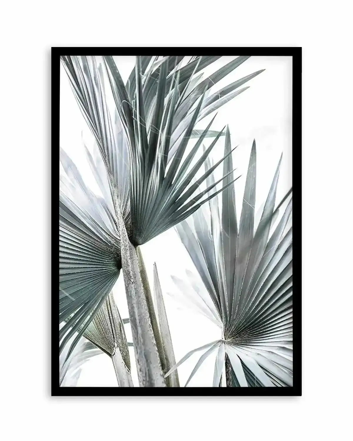 Tropical Palm II Art Print from Olive et Oriel where you can shop wallpaper and artworks online