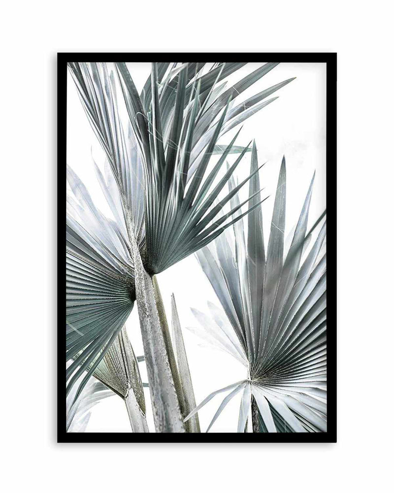 Tropical Palm II Art Print
