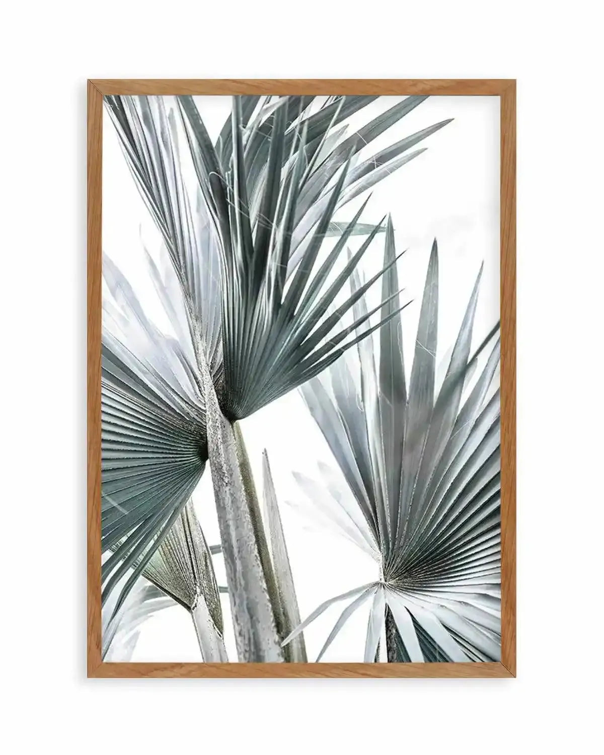 Tropical Palm II Art Print from Olive et Oriel where you can shop wallpaper and artworks online