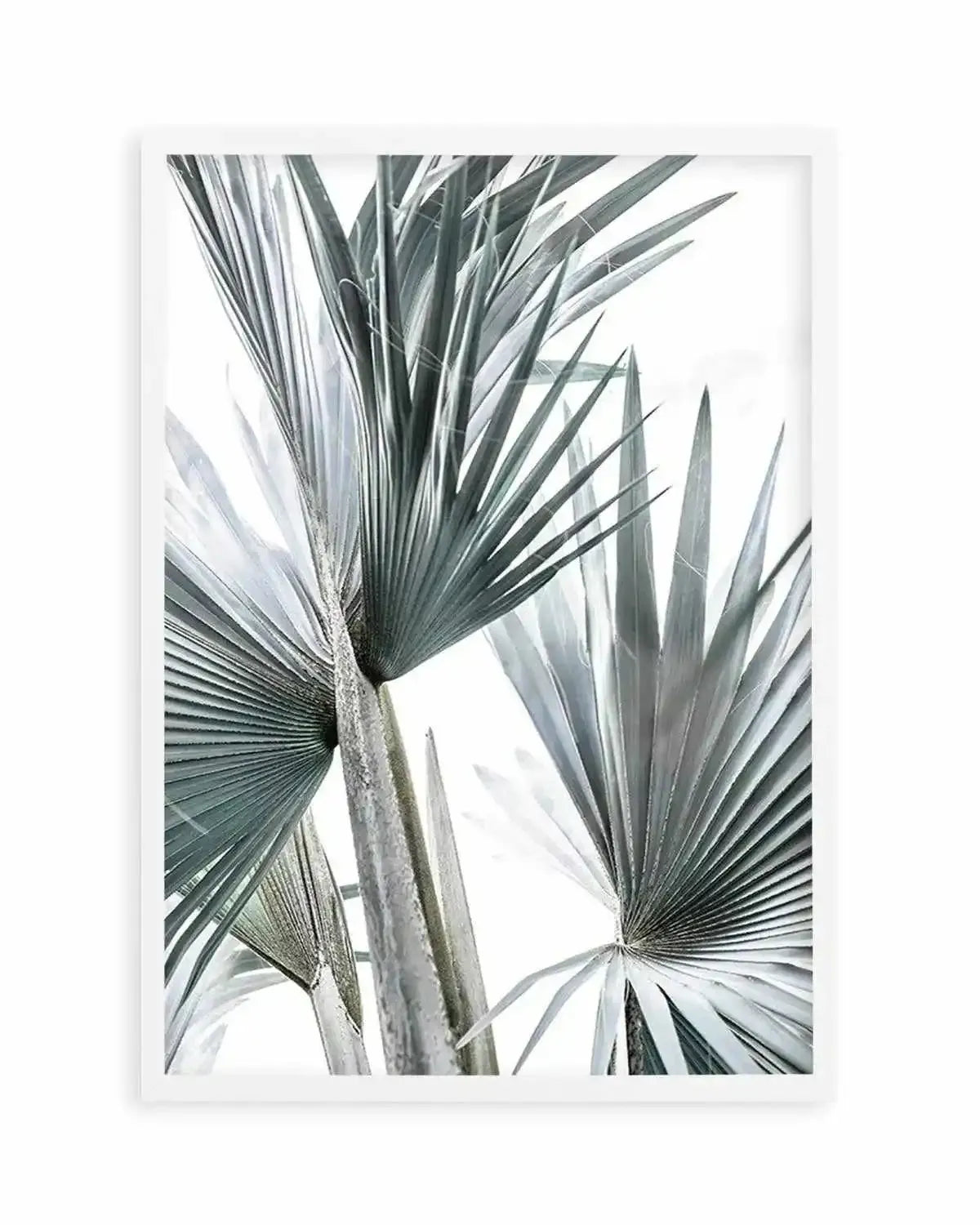 Tropical Palm II Art Print from Olive et Oriel where you can shop wallpaper and artworks online