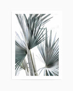 Tropical Palm II Art Print