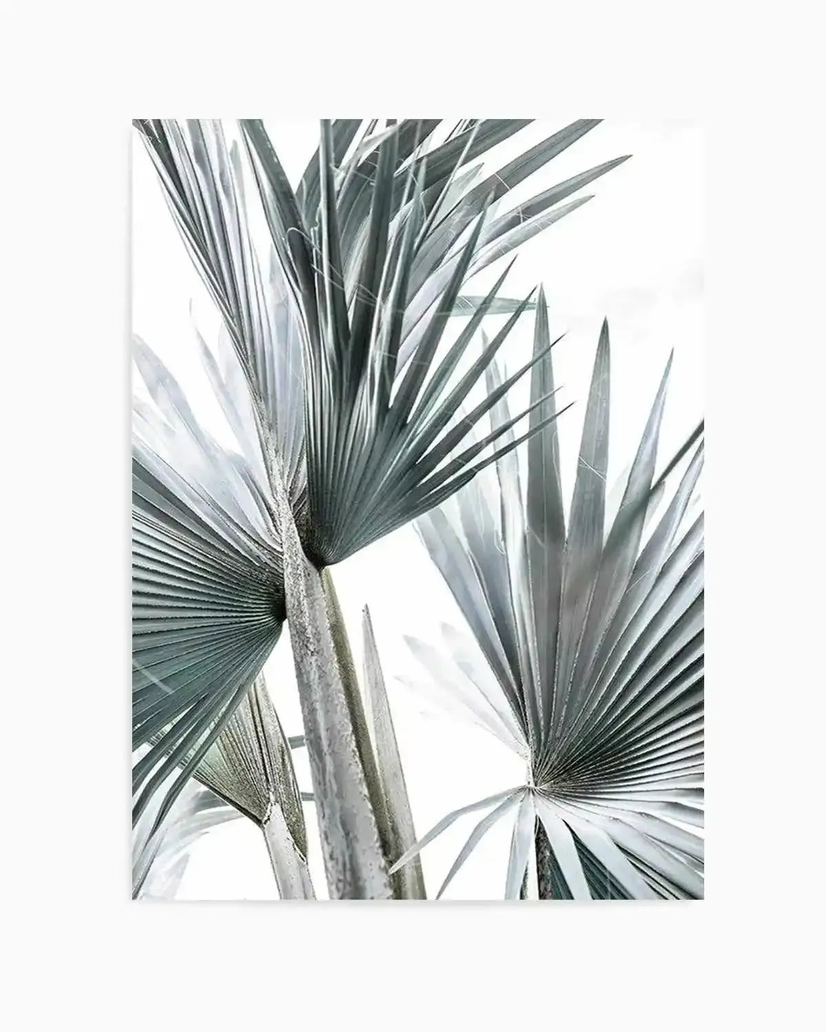 Tropical Palm II Art Print from Olive et Oriel where you can shop wallpaper and artworks online