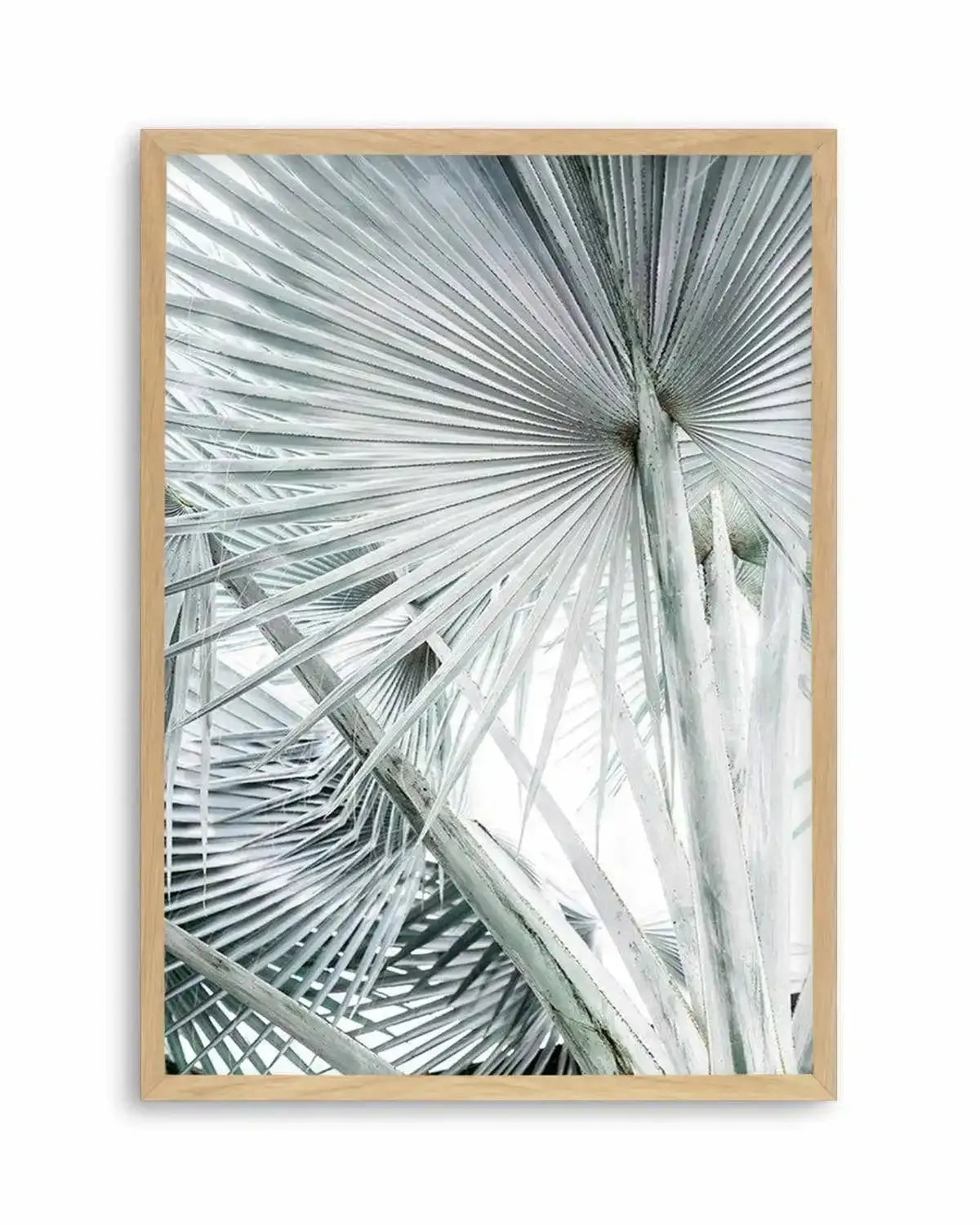 Tropical Palm III Art Print from Olive et Oriel where you can shop wallpaper and artworks online