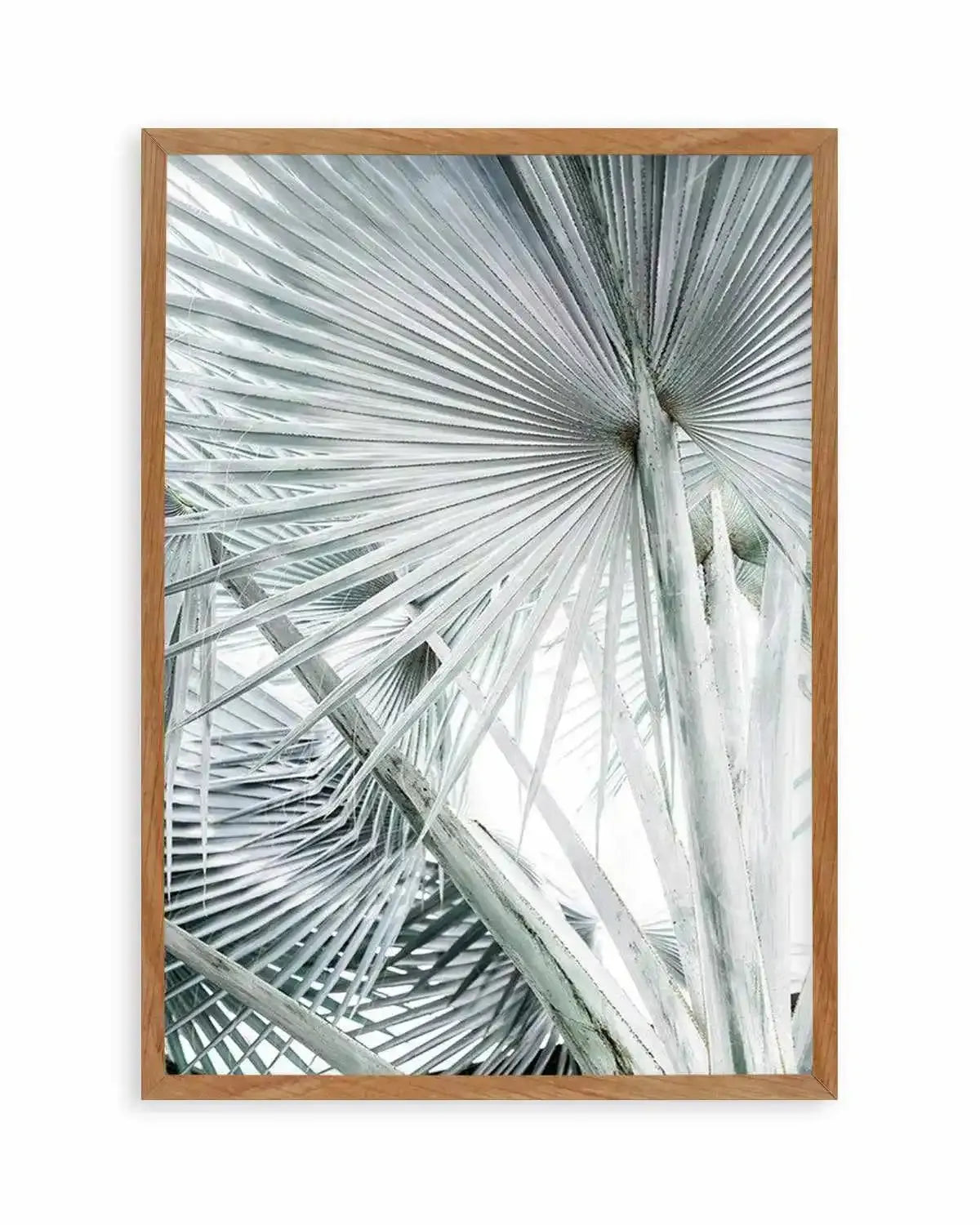 Tropical Palm III Art Print from Olive et Oriel where you can shop wallpaper and artworks online