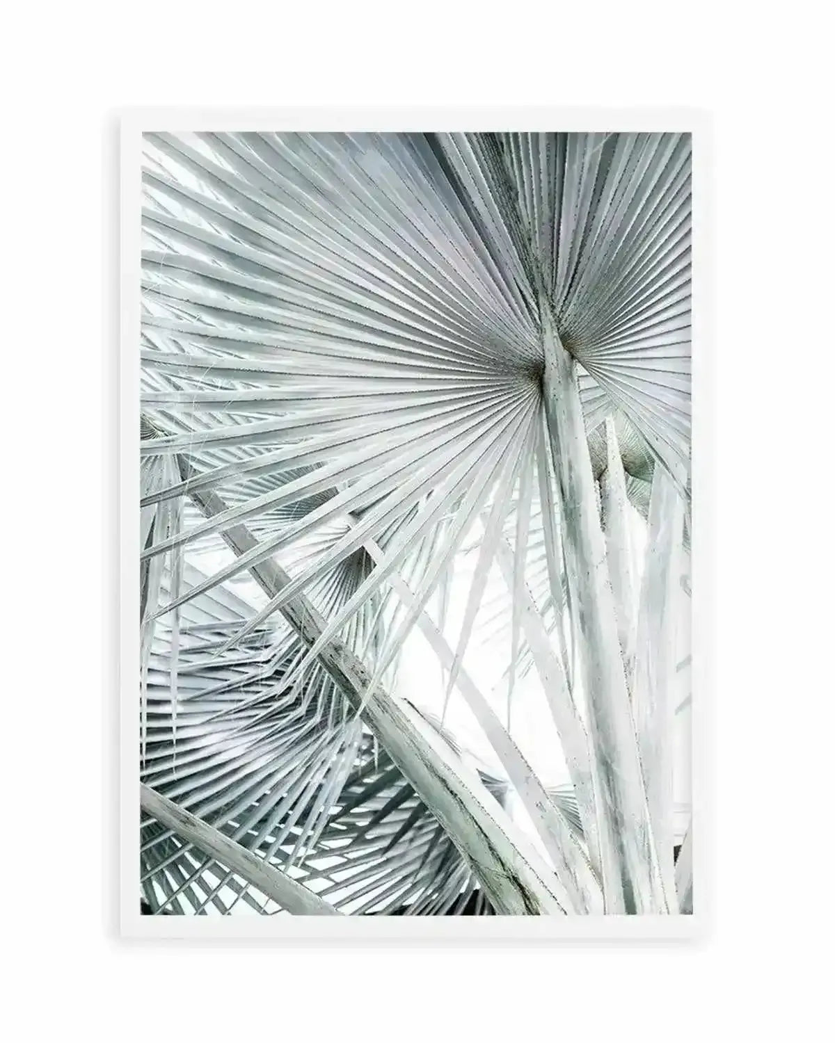 Tropical Palm III Art Print from Olive et Oriel where you can shop wallpaper and artworks online