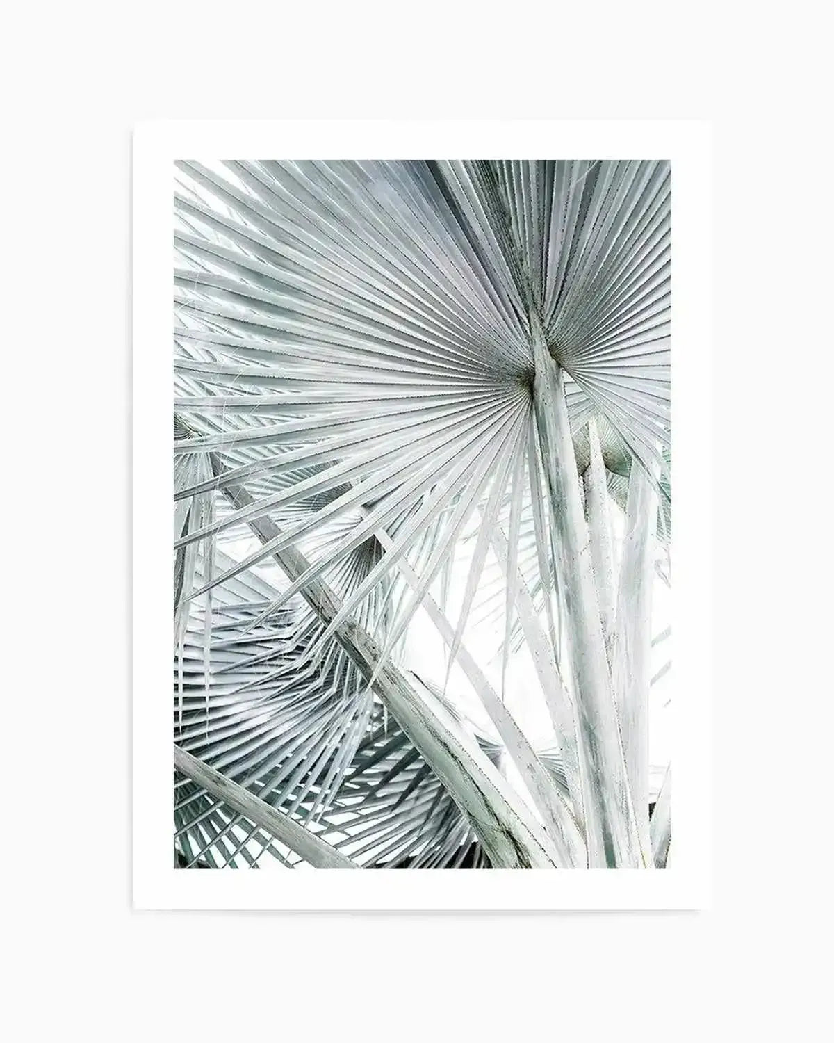 Tropical Palm III Art Print from Olive et Oriel where you can shop wallpaper and artworks online