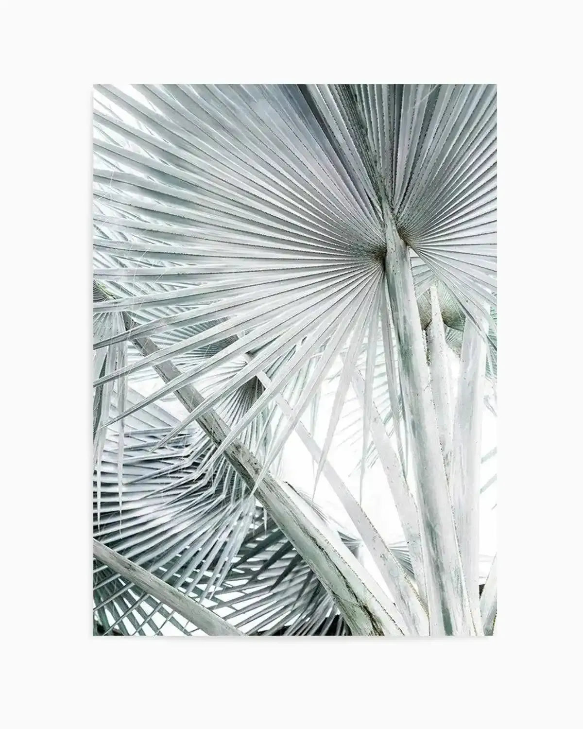 Tropical Palm III Art Print from Olive et Oriel where you can shop wallpaper and artworks online