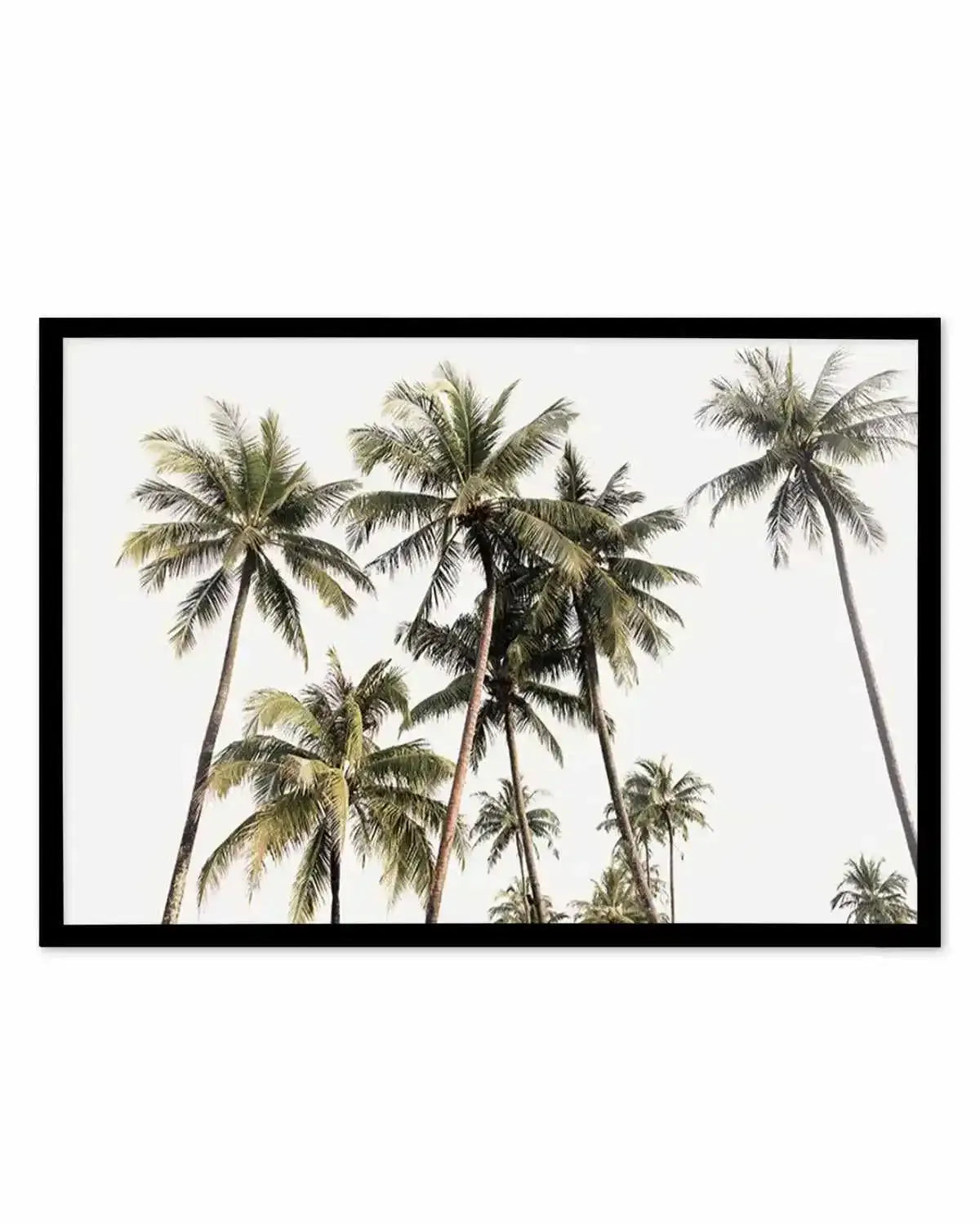 Tropical Palm Trees LS Art Print from Olive et Oriel where you can shop wallpaper and artworks online