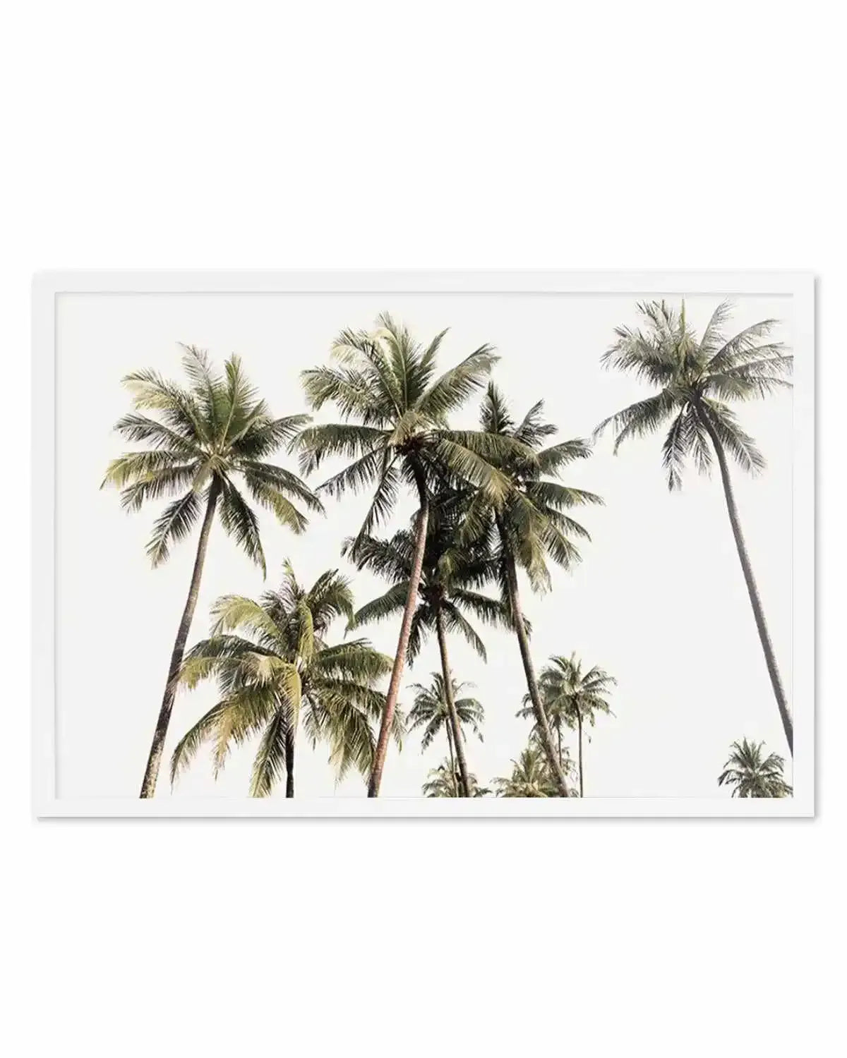 Tropical Palm Trees LS Art Print from Olive et Oriel where you can shop wallpaper and artworks online