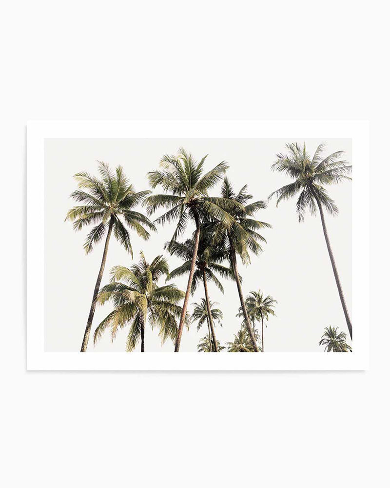 Tropical Palm Trees LS Art Print