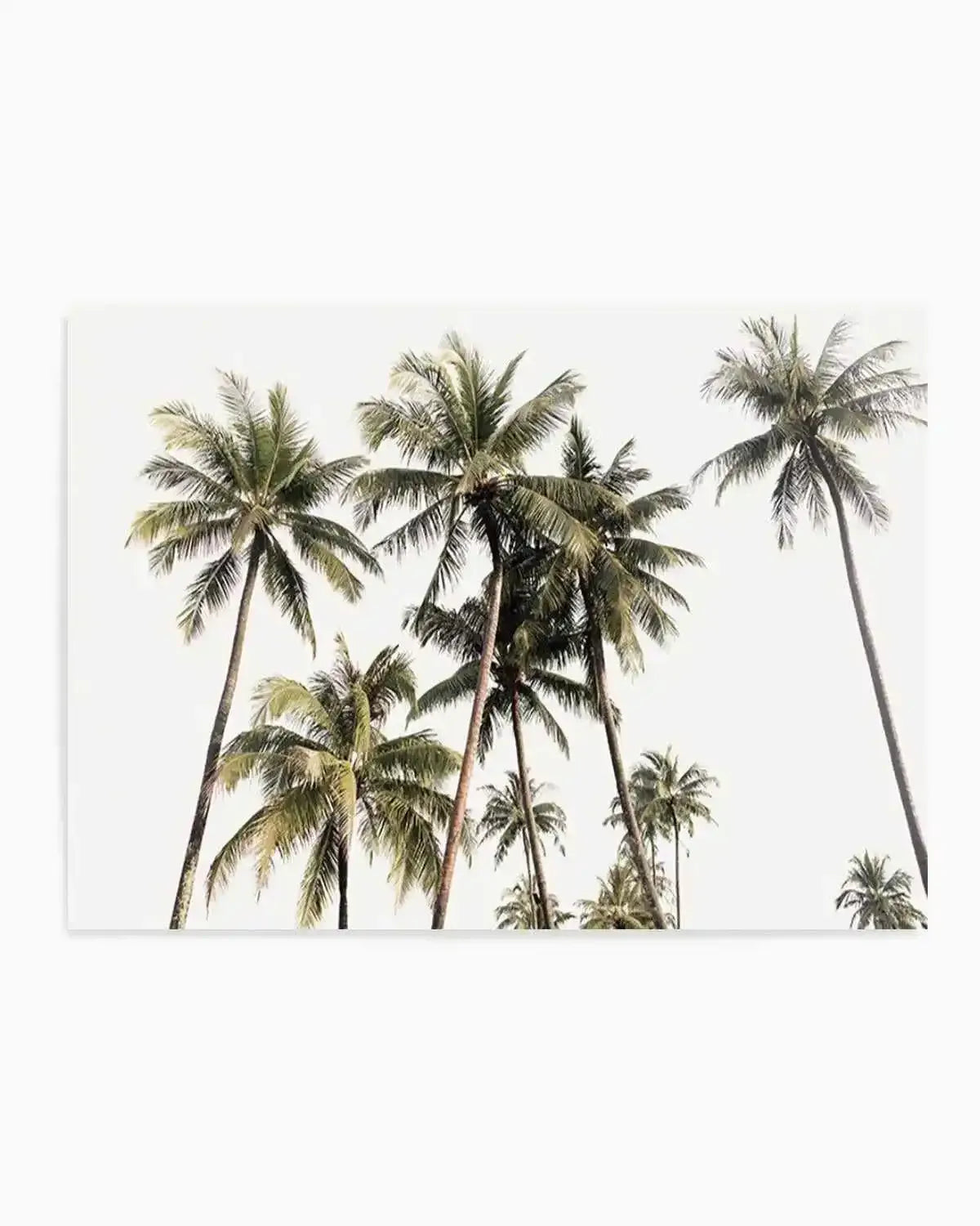 Tropical Palm Trees LS Art Print from Olive et Oriel where you can shop wallpaper and artworks online