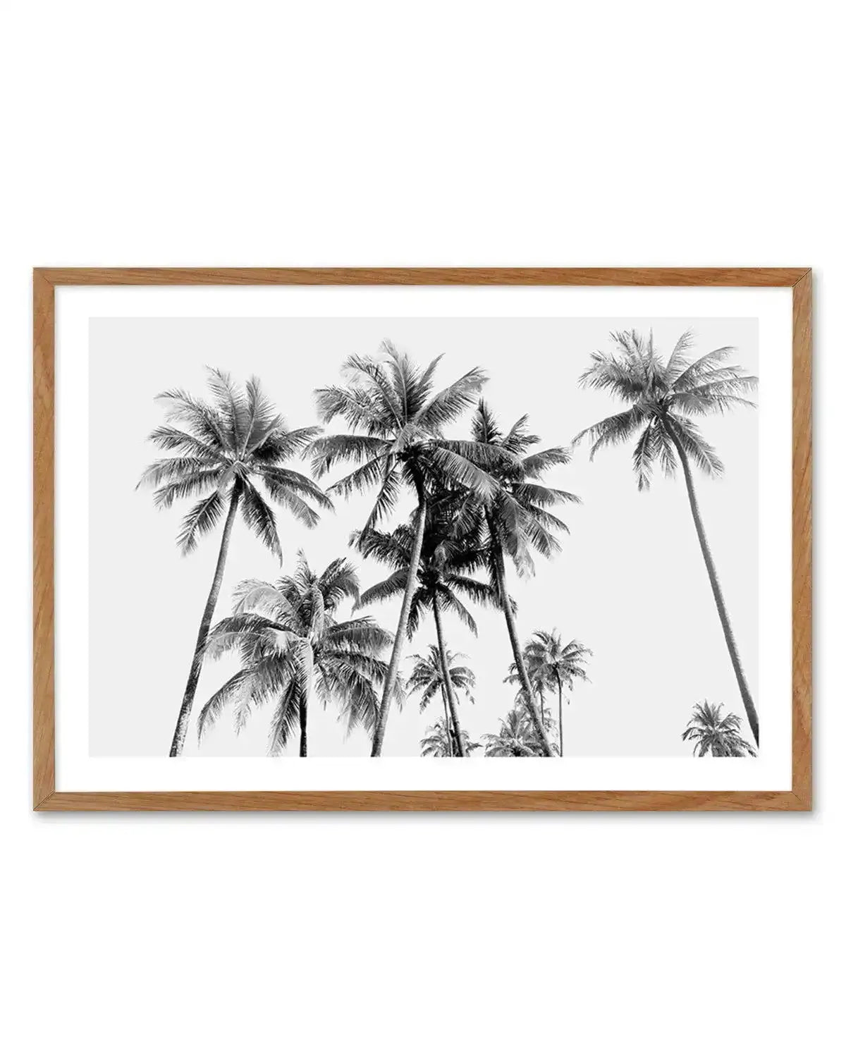 Tropical Palms B&W Art Print-PRINT-Olive et Oriel-Olive et Oriel-Buy-Australian-Art-Prints-Online-with-Olive-et-Oriel-Your-Artwork-Specialists-Austrailia-Decorate-With-Coastal-Photo-Wall-Art-Prints-From-Our-Beach-House-Artwork-Collection-Fine-Poster-and-Framed-Artwork