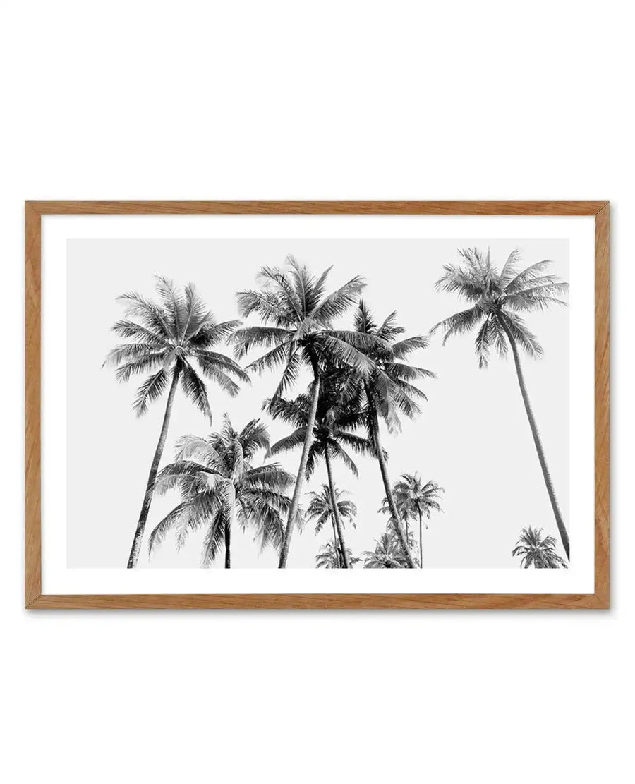 Framed black and white photograph of a tropical scene featuring multiple palm trees against a bright white sky, with natural wood frame and white border. The composition captures the tall, slender trunks and fanned fronds of the palm trees, creating a serene, high-contrast tropical landscape.