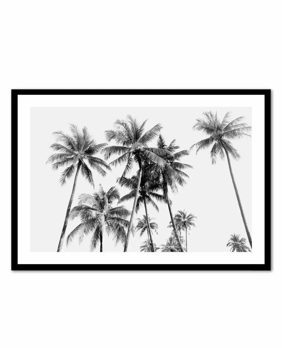 Framed black and white photograph of a tropical scene with multiple palm trees against a bright white sky, with a black frame and white border. The composition features tall palm trees with visible fronds and textured trunks, some reaching towards the sky and others leaning, creating a dynamic and airy feel.