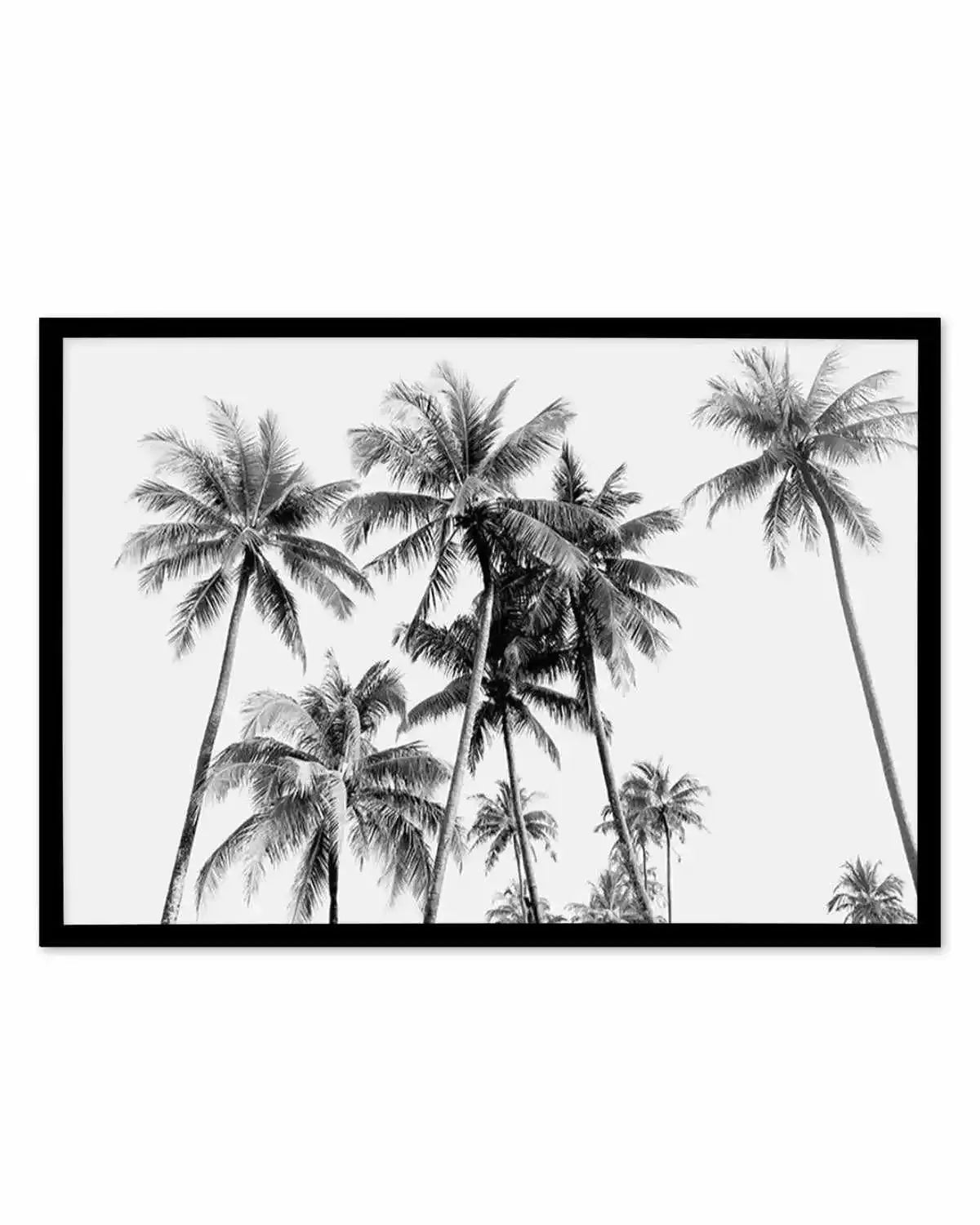 Tropical Palms B&W Art Print from Olive et Oriel where you can shop wallpaper and artworks online