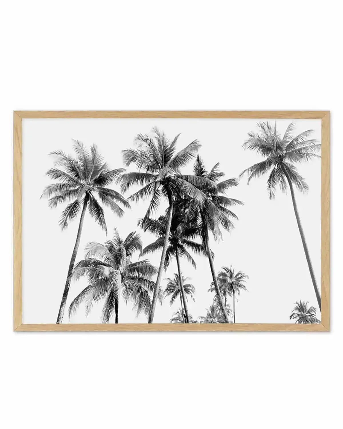 Tropical Palms B&W Art Print from Olive et Oriel where you can shop wallpaper and artworks online
