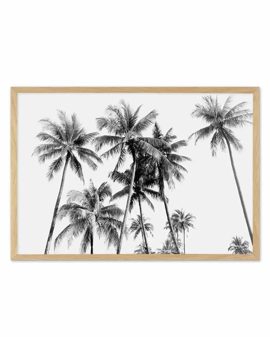 Tropical Palms B&W Art Print from Olive et Oriel where you can shop wallpaper and artworks online