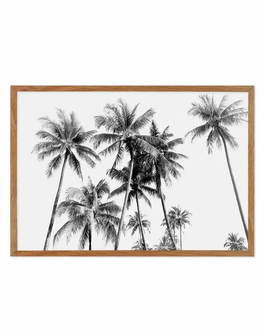 Framed black and white photograph of a tropical scene with multiple palm trees against a bright white sky, displayed in a natural oak frame with white border. The composition features several palm trees of varying heights, with their fronds silhouetted and detailed against the light background.