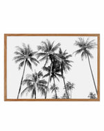 Tropical Palms B&W Art Print