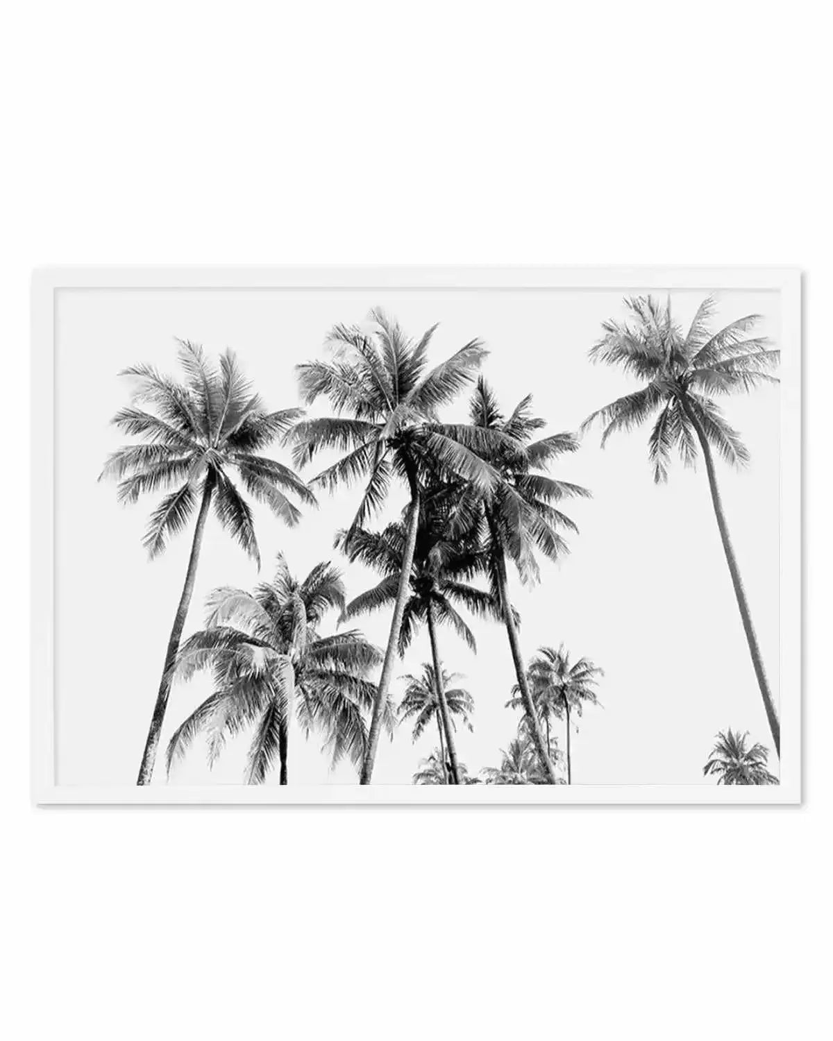Tropical Palms B&W Art Print from Olive et Oriel where you can shop wallpaper and artworks online