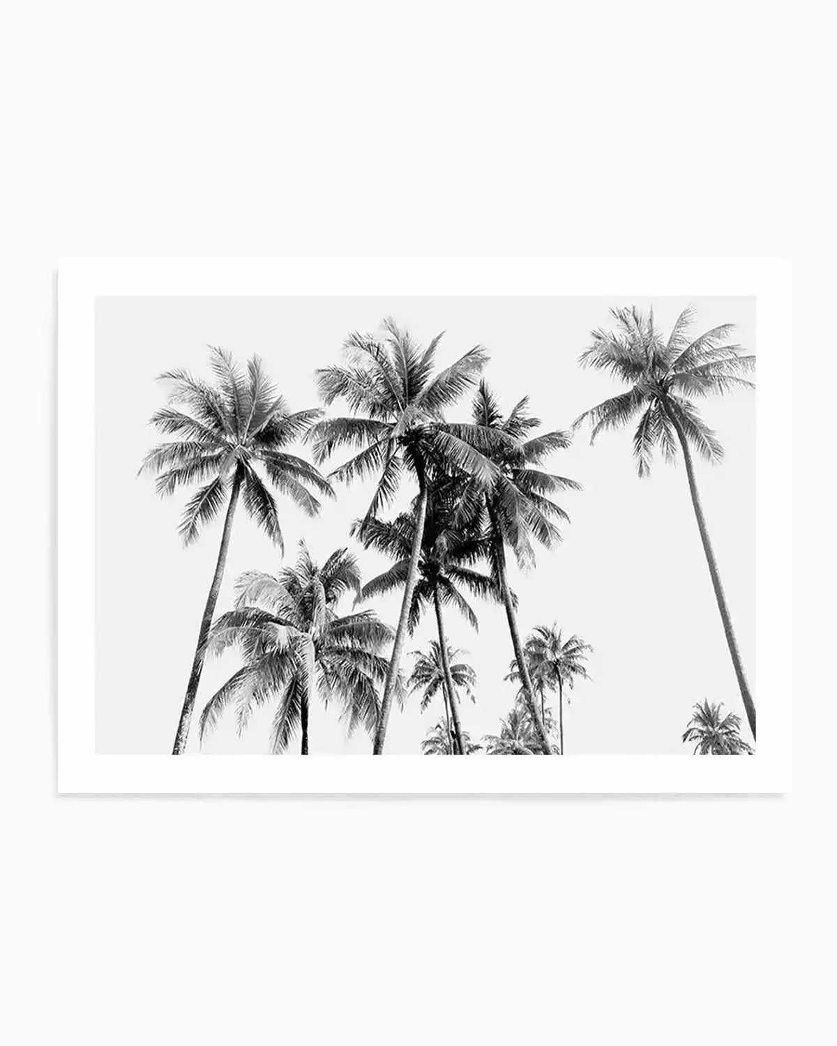 Tropical Palms B&W Art Print from Olive et Oriel where you can shop wallpaper and artworks online