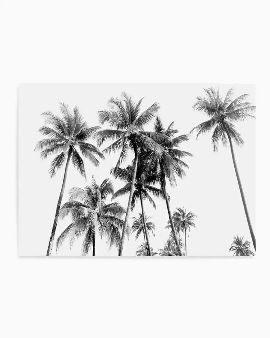 Black and white photograph of a tropical scene featuring a dense cluster of palm trees against a bright white sky. The composition captures the tall, slender trunks and fanned fronds of the palm trees, with varying heights and densities, creating a high-contrast, graphic silhouette.