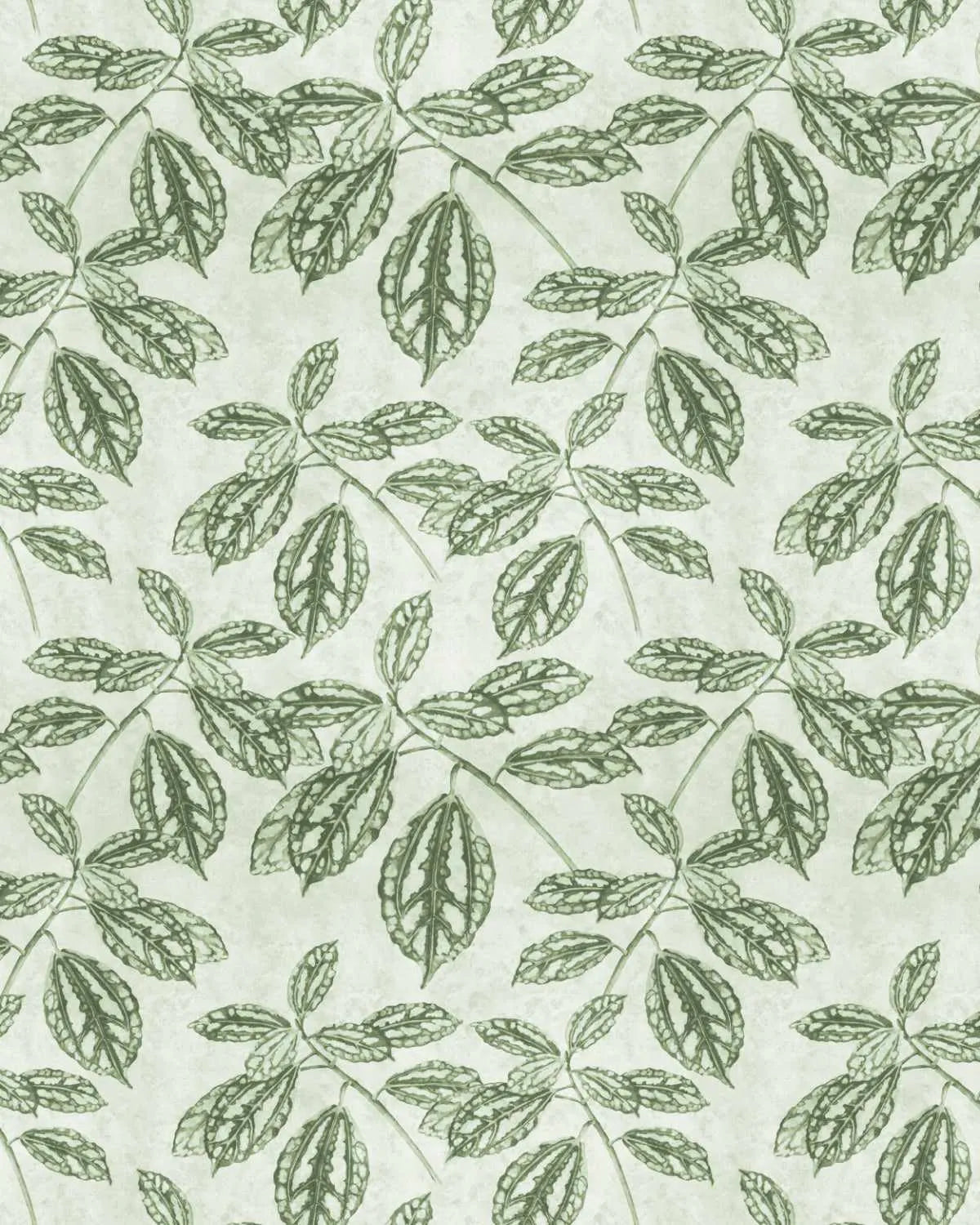 Tropical Vine Wallpaper from Olive et Oriel where you can shop wallpaper and artworks online