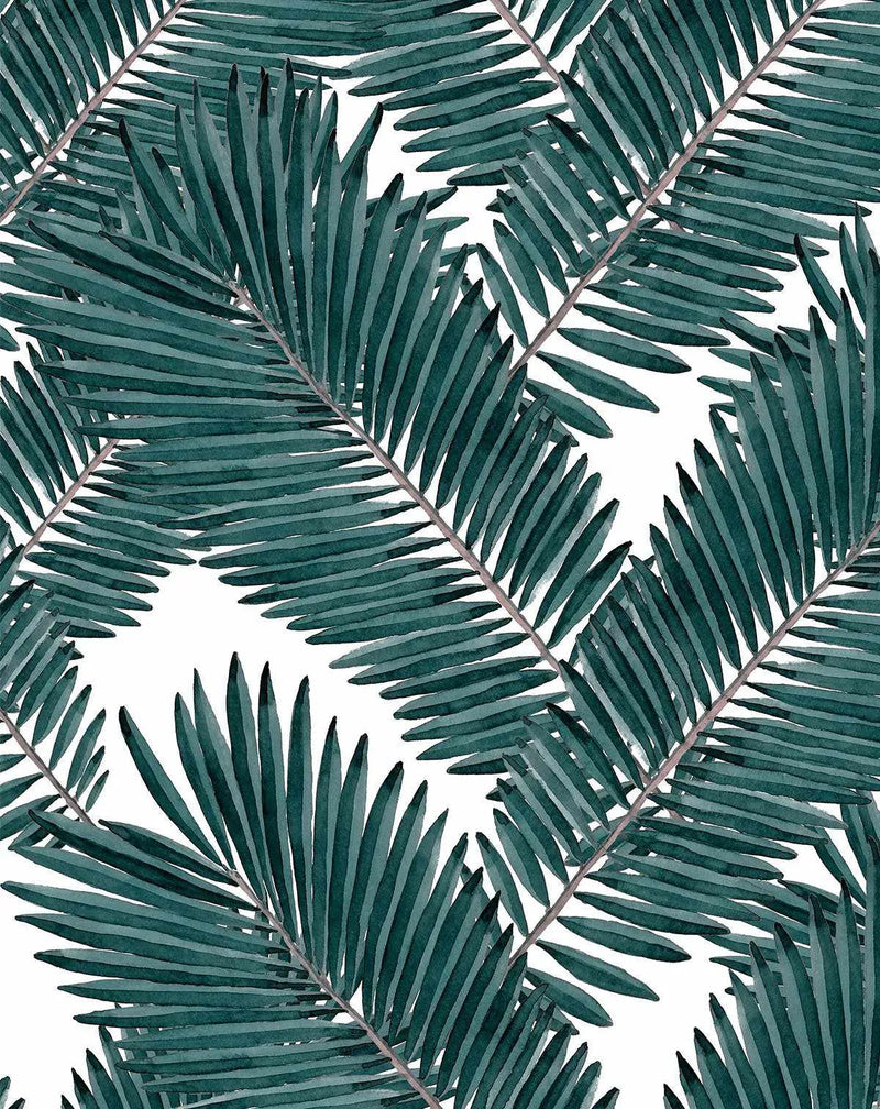 Peel and stick wallpaper featuring a repeating pattern of hand-painted palm fronds in deep teal and forest green on a bright white background. The botanical design has a loose, organic watercolour quality with visible brushstroke texture.
