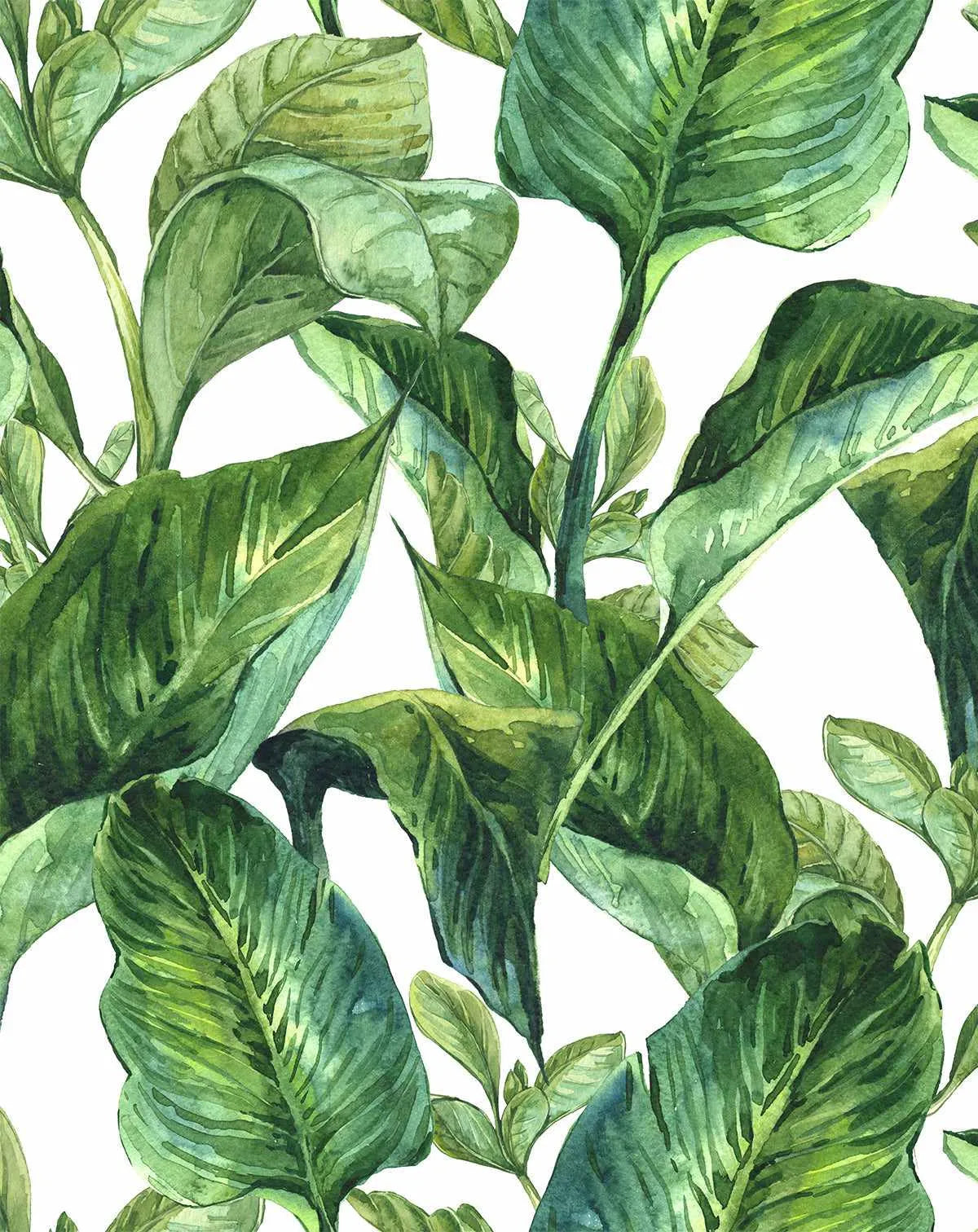 Tropics Wallpaper - Olive et Oriel