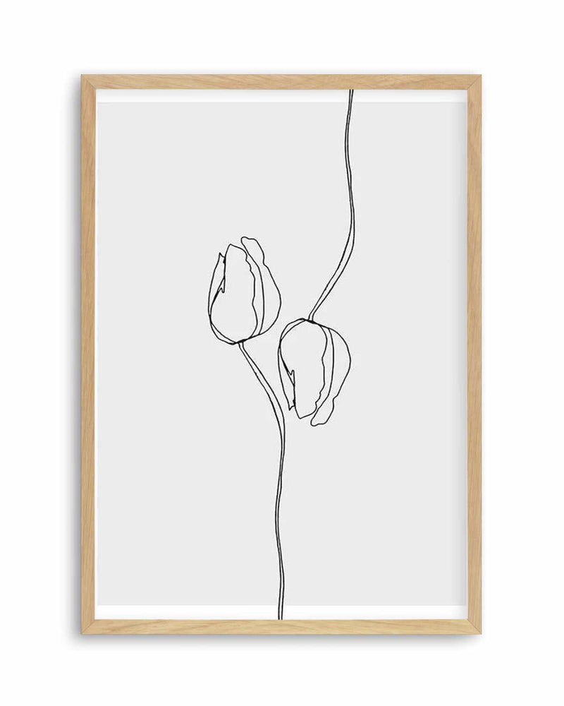 Tulip I | Illustration Art Print