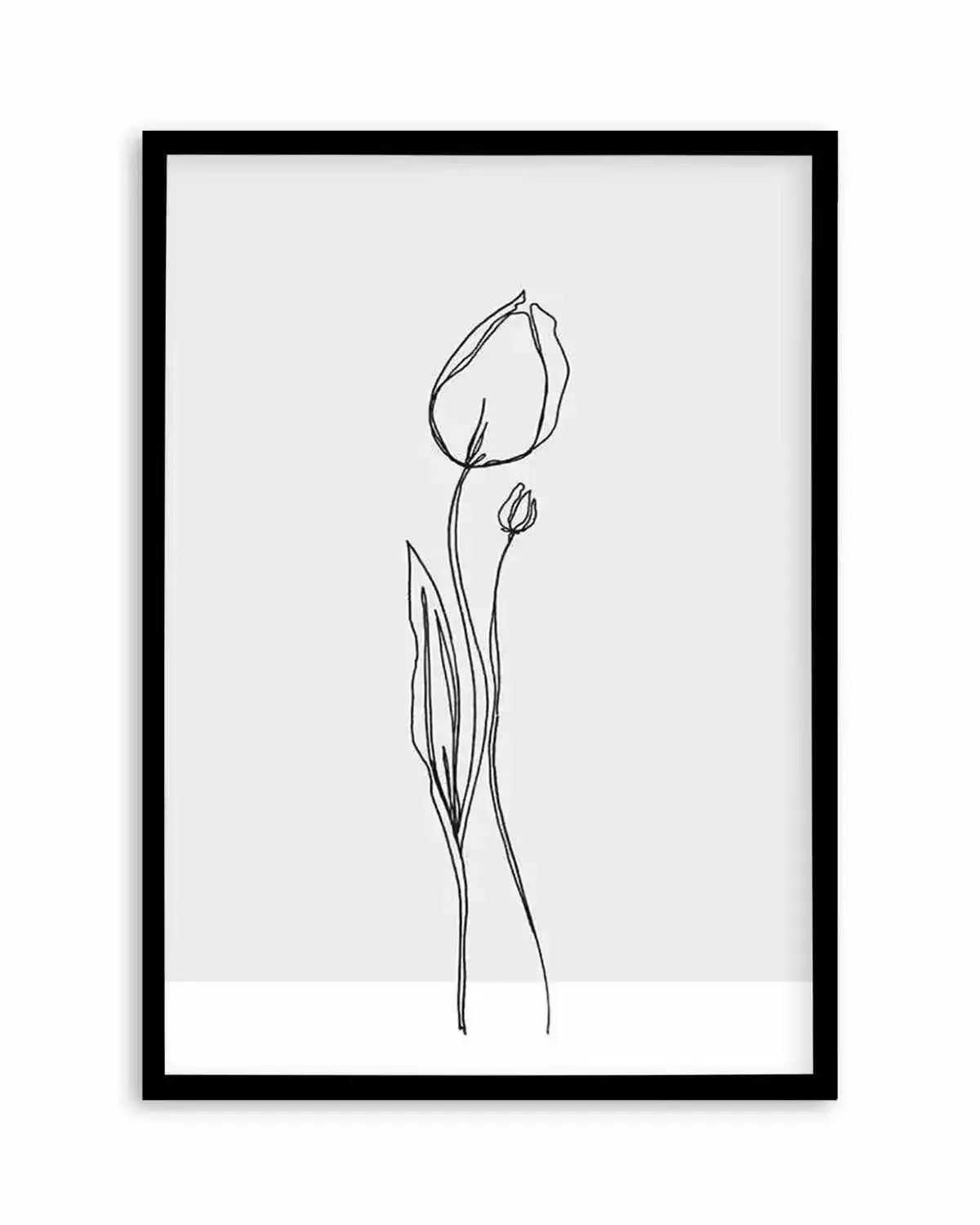 Tulip II | Illustration Art Print from Olive et Oriel where you can shop wallpaper and artworks online