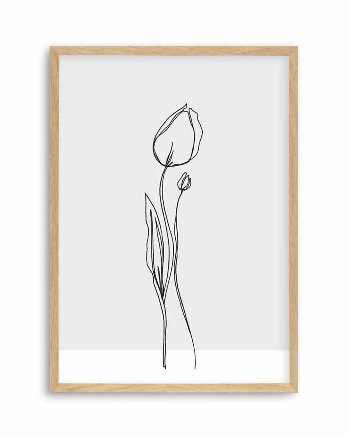 Tulip II | Illustration Art Print