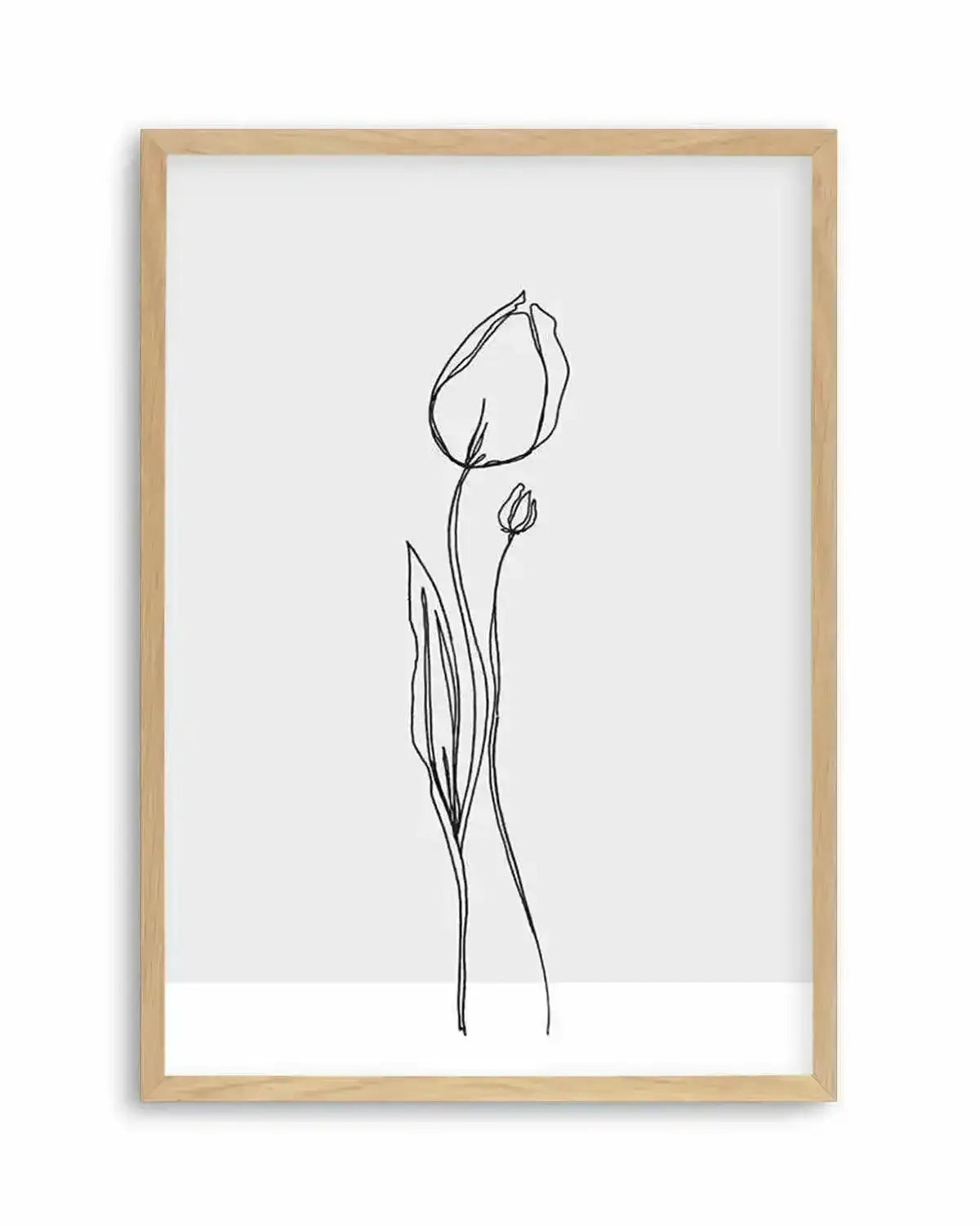 Tulip II | Illustration Art Print from Olive et Oriel where you can shop wallpaper and artworks online