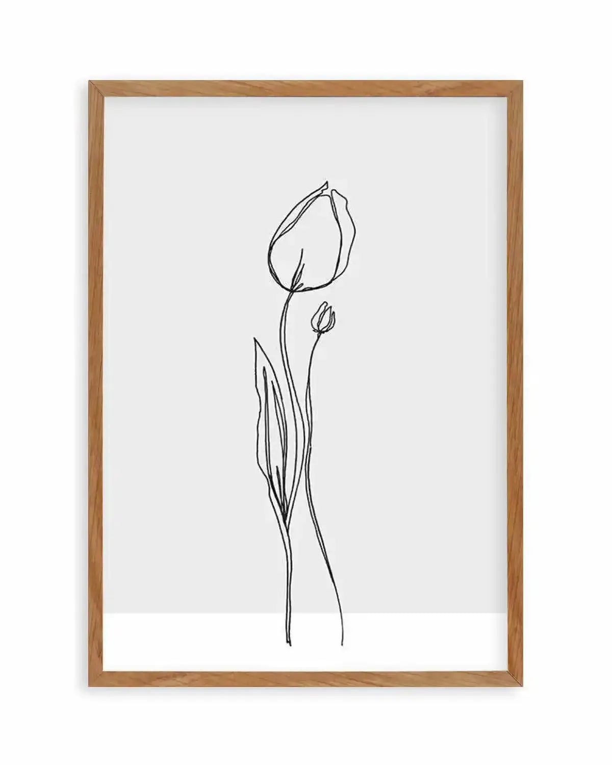 Tulip II | Illustration Art Print from Olive et Oriel where you can shop wallpaper and artworks online