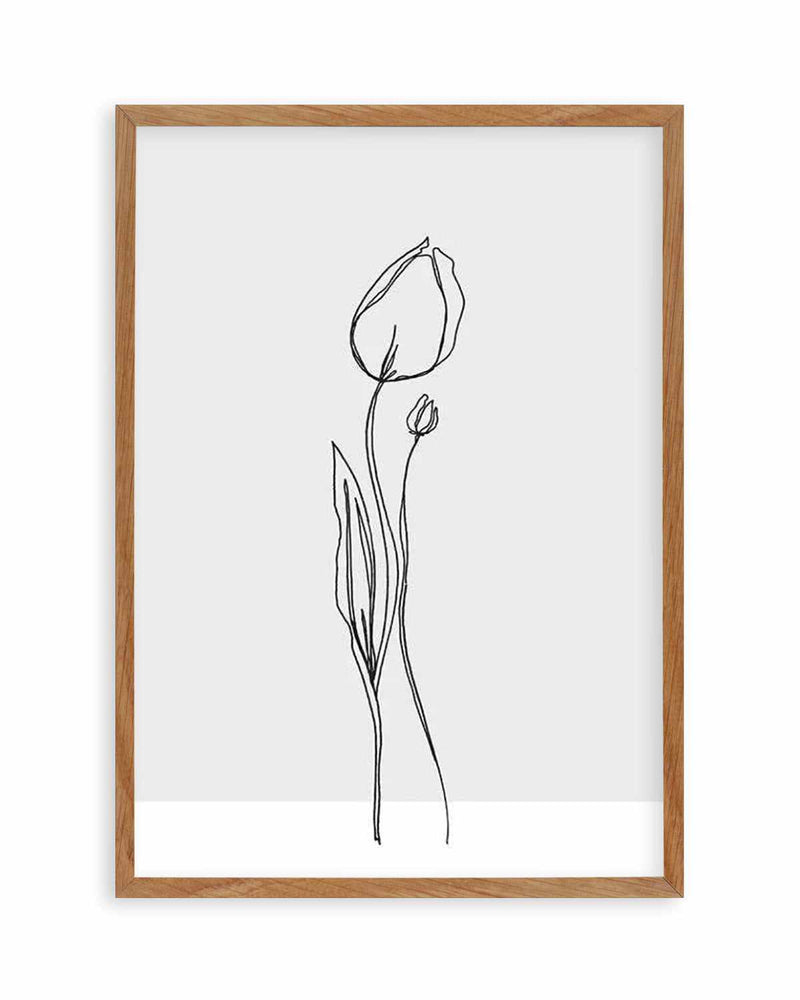 Tulip II | Illustration Art Print