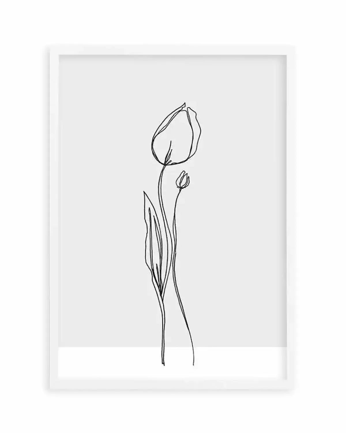 Tulip II | Illustration Art Print from Olive et Oriel where you can shop wallpaper and artworks online