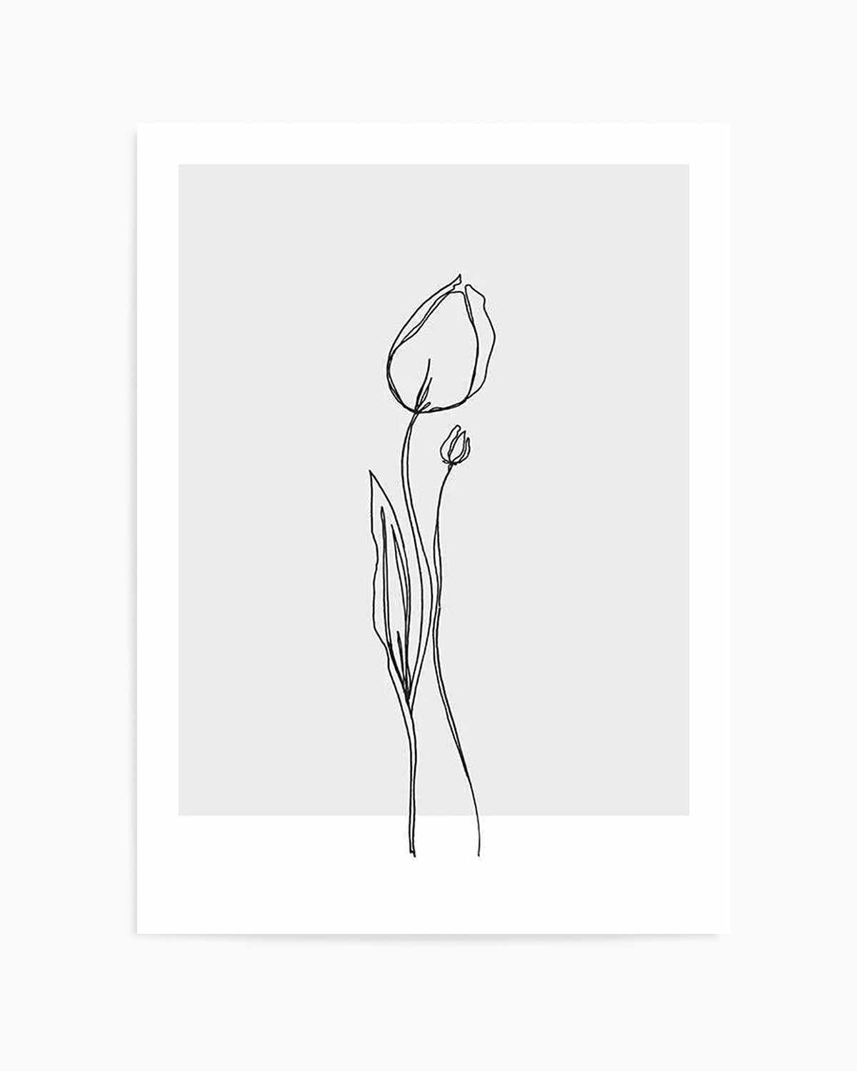 Tulip II | Illustration Art Print