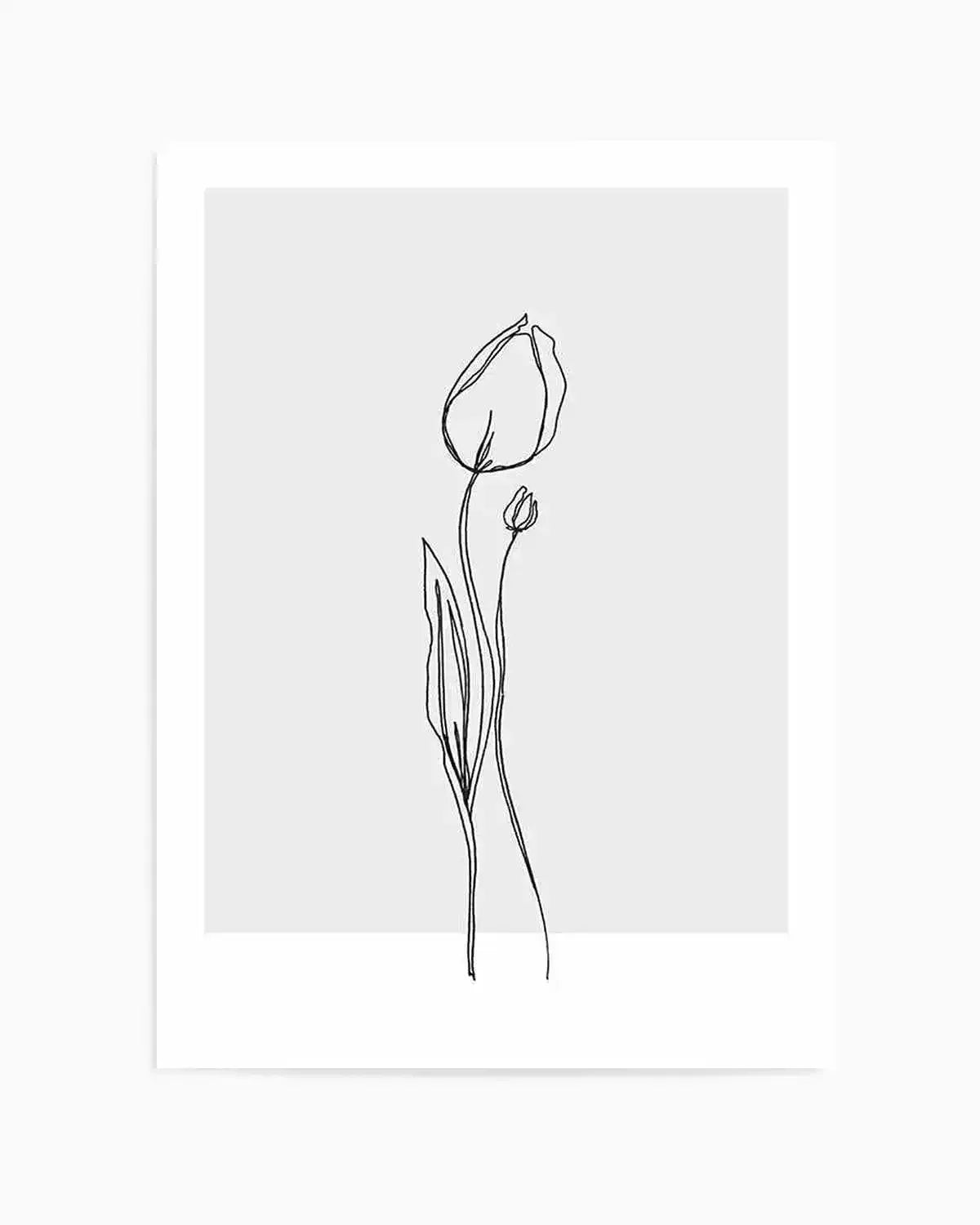 Tulip II | Illustration Art Print from Olive et Oriel where you can shop wallpaper and artworks online