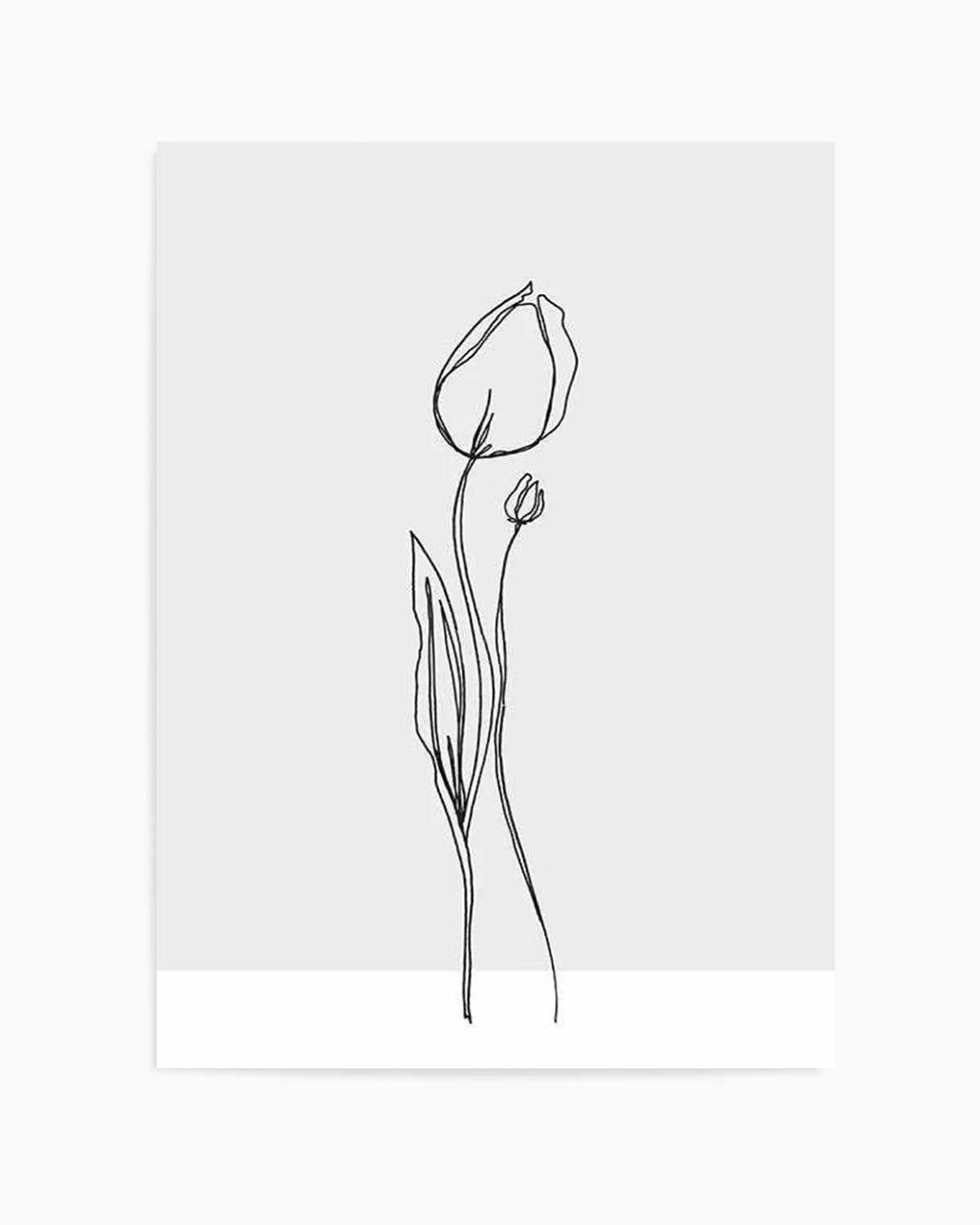 Tulip II | Illustration Art Print