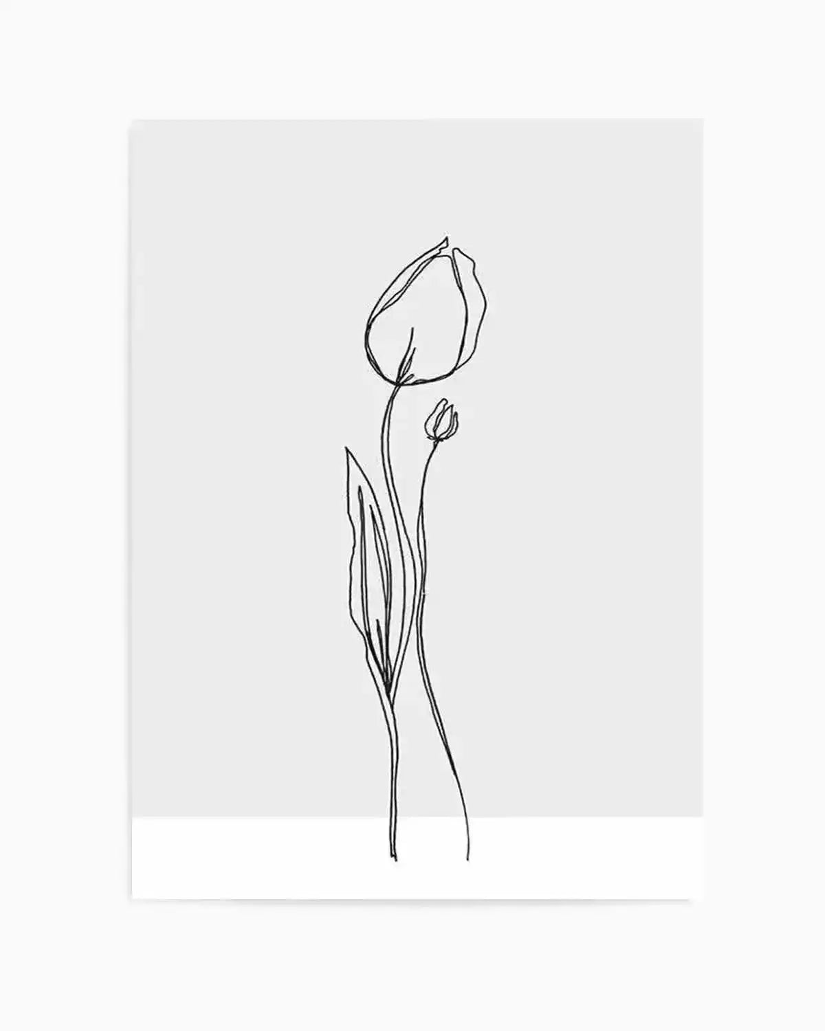 Tulip II | Illustration Art Print from Olive et Oriel where you can shop wallpaper and artworks online